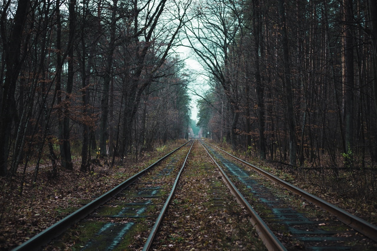 Railway tracks through a dark forest in Russia HD Wallpaper