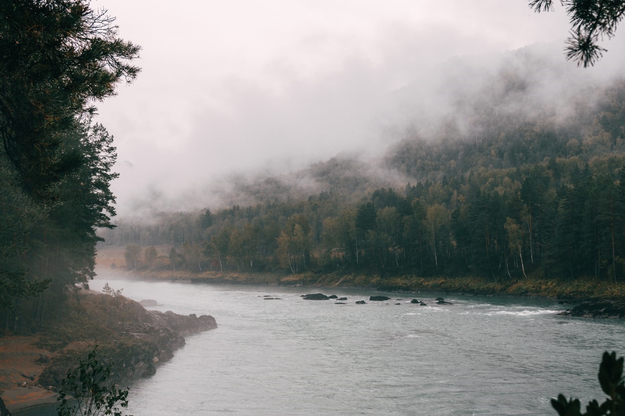 Misty river flowing through a forest in Russia HD Wallpaper