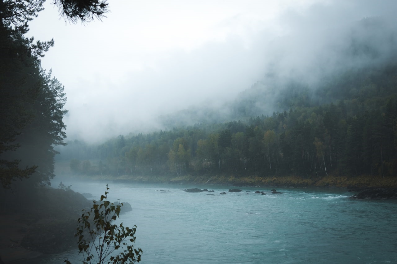 Misty river flowing through a forest in Russia HD Wallpaper