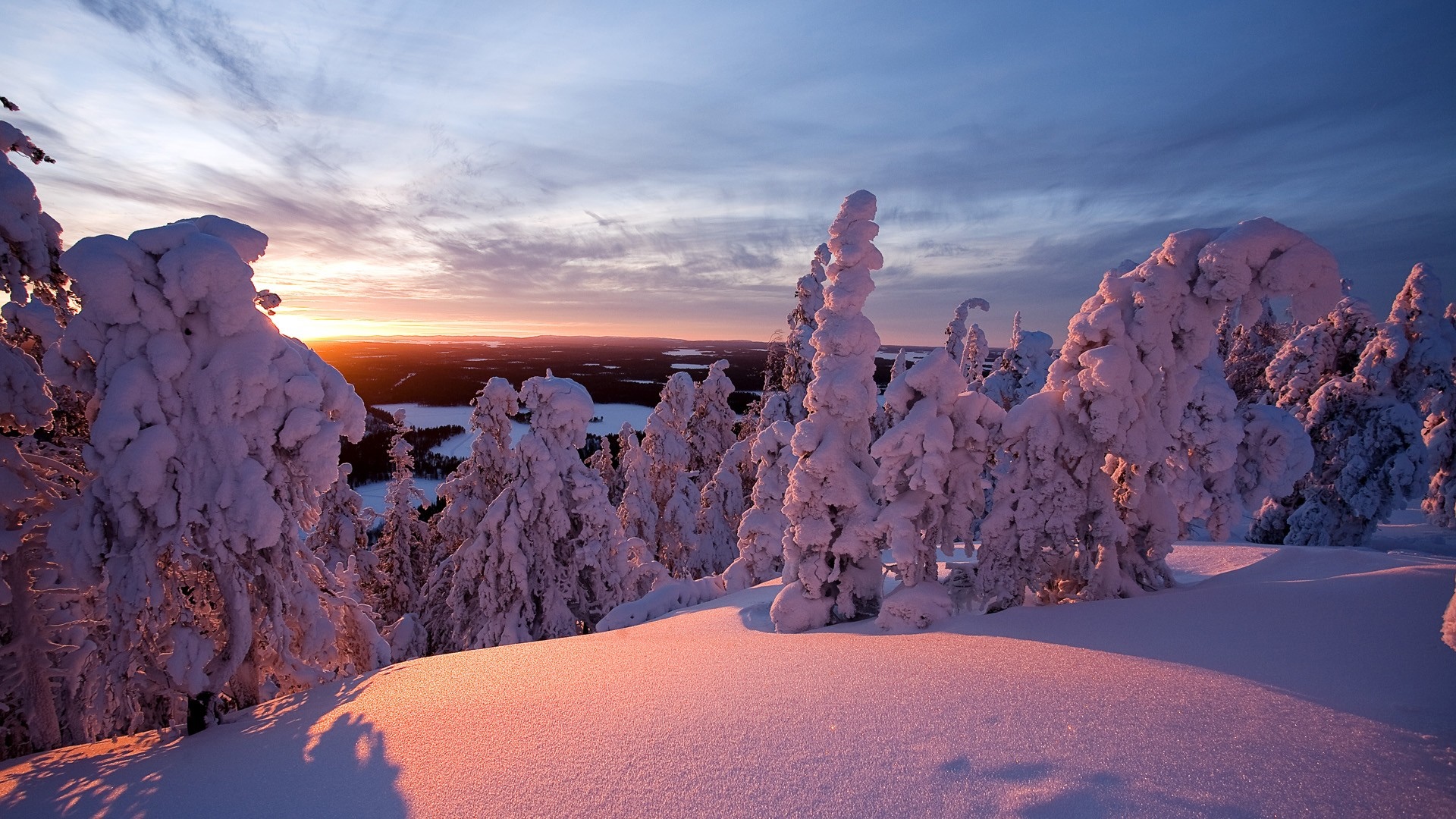 Snow-covered trees on a mountain at sunset HD Wallpaper