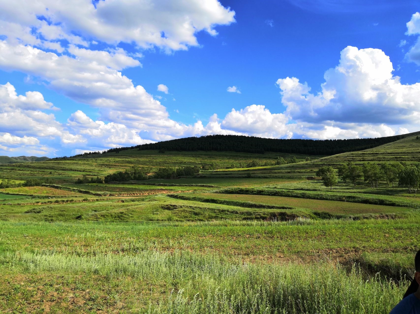 Terraced green hills under a blue sky with clouds HD Wallpaper