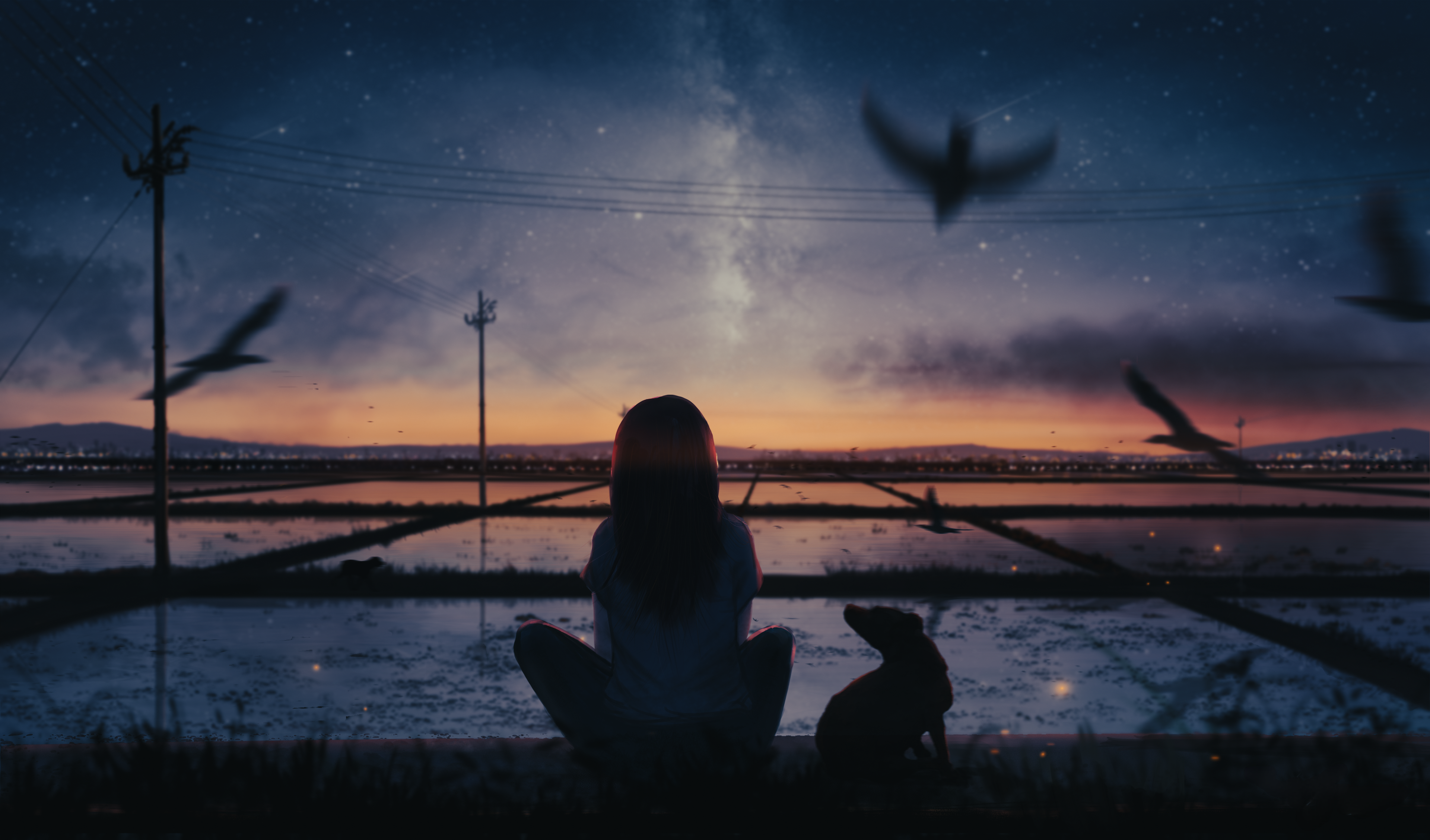 Girl and dog watch sunset over rice fields with birds HD Wallpaper