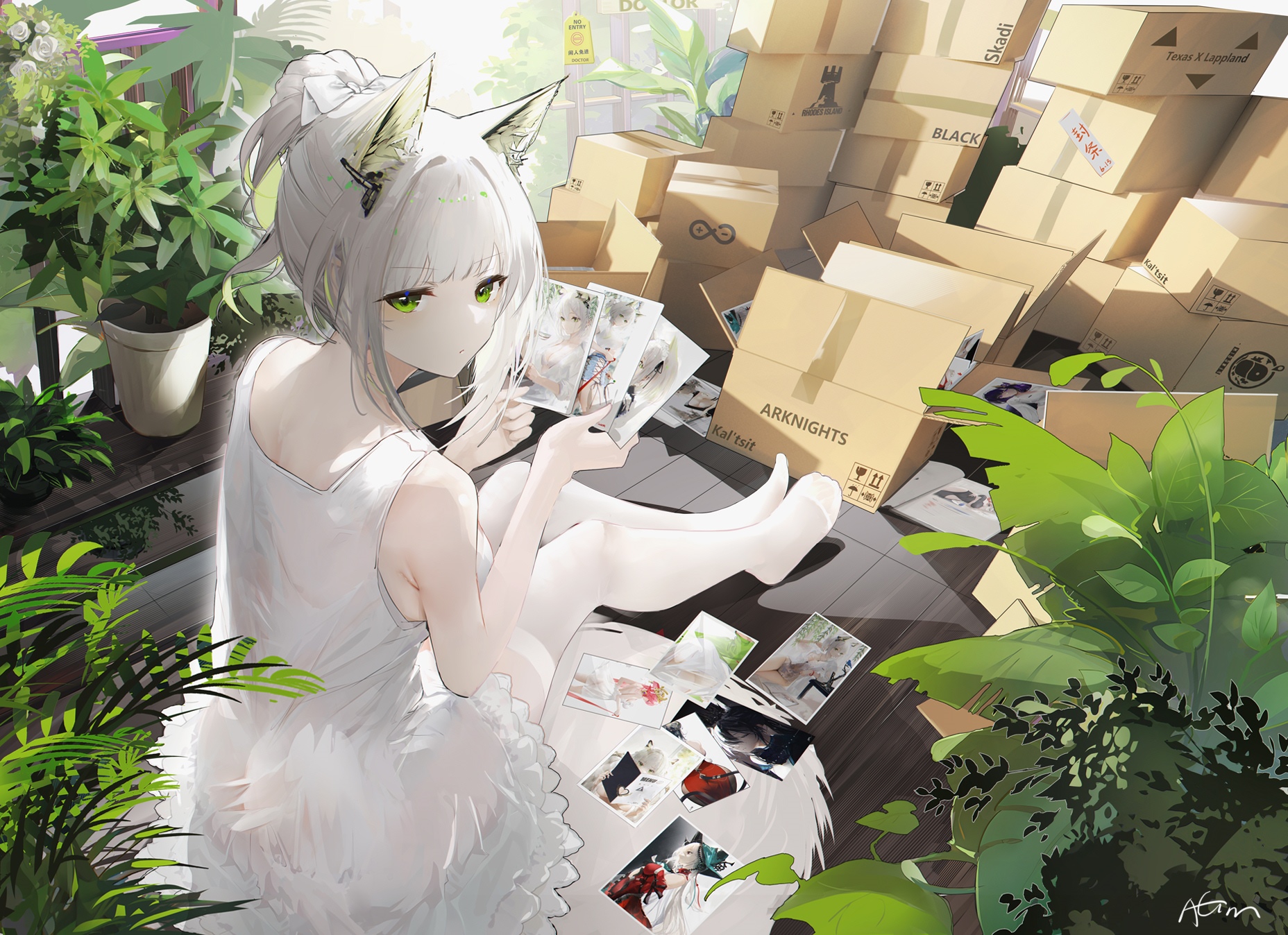 Arknights Kaltsit Looking at Photos HD Wallpaper