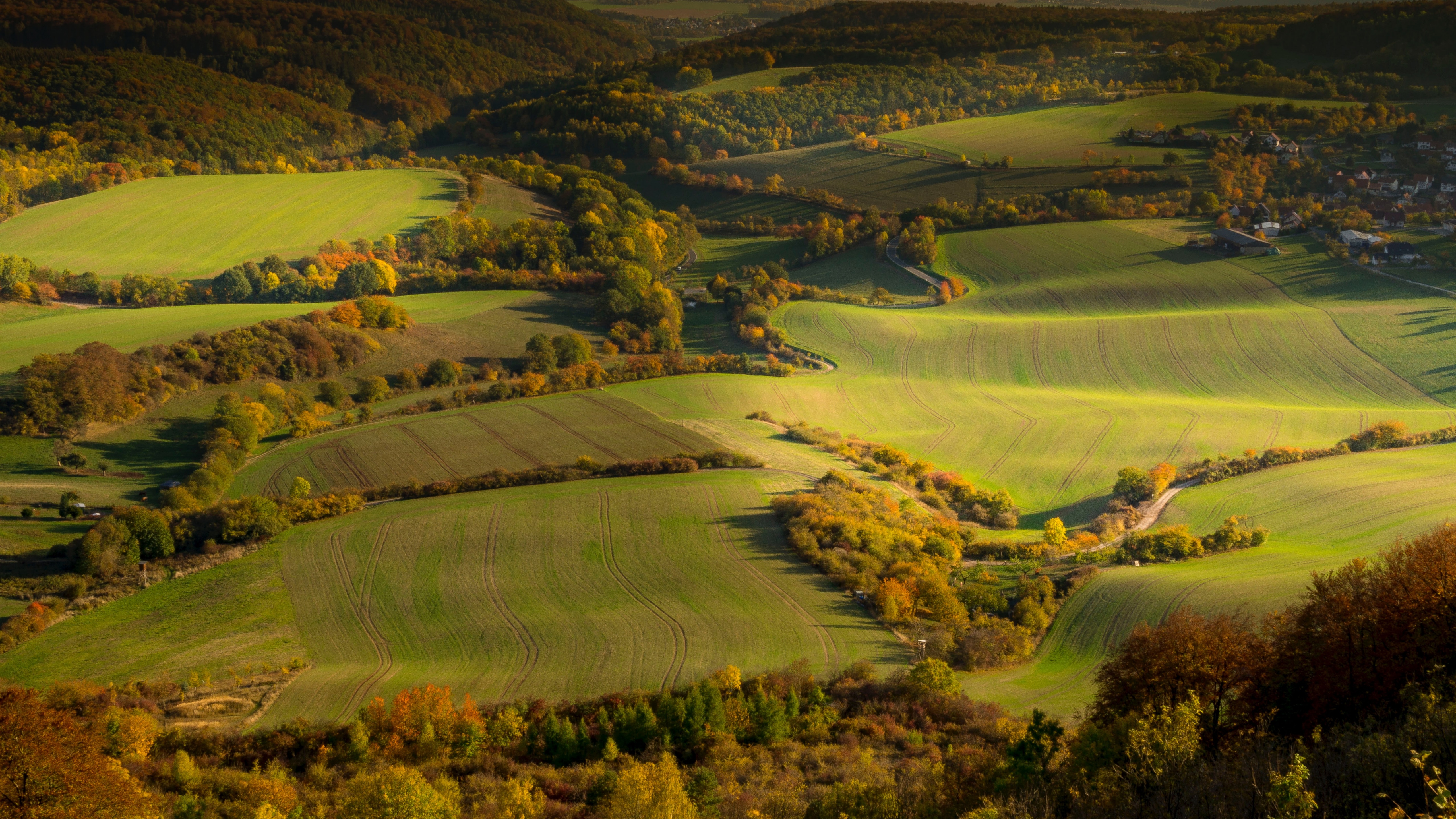 Aerial view of rolling green fields and autumn trees HD Wallpaper