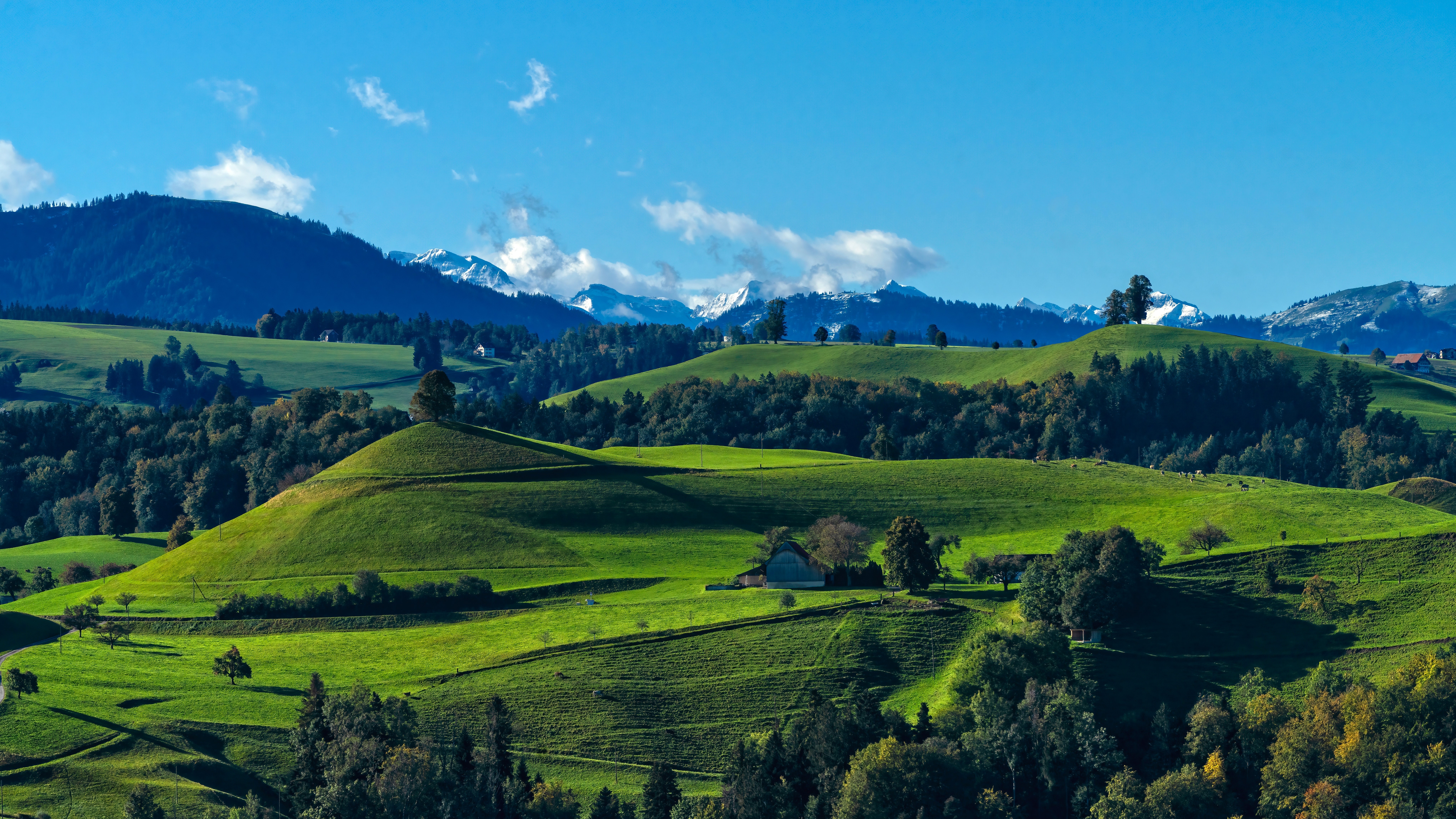 4K rolling green hills with mountains and trees HD Wallpaper