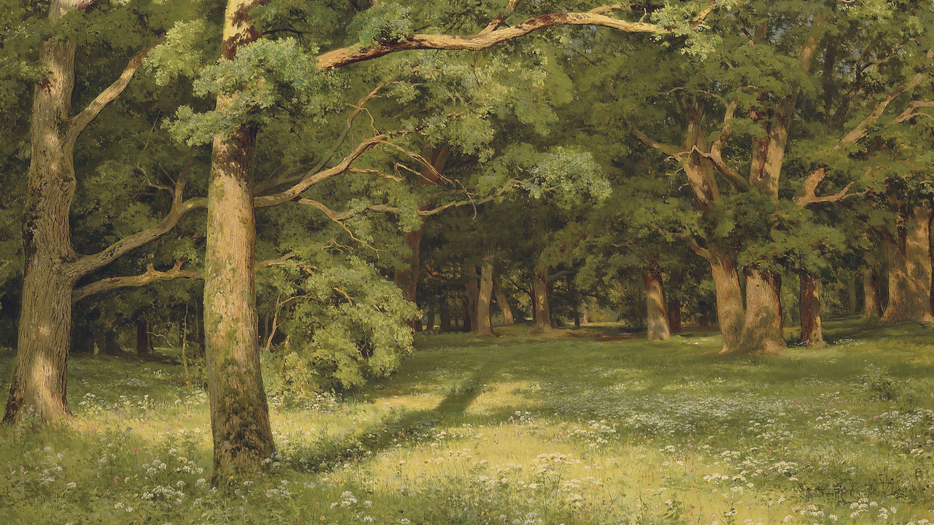 Painting of a sunlit forest with trees and wildflowers HD Wallpaper