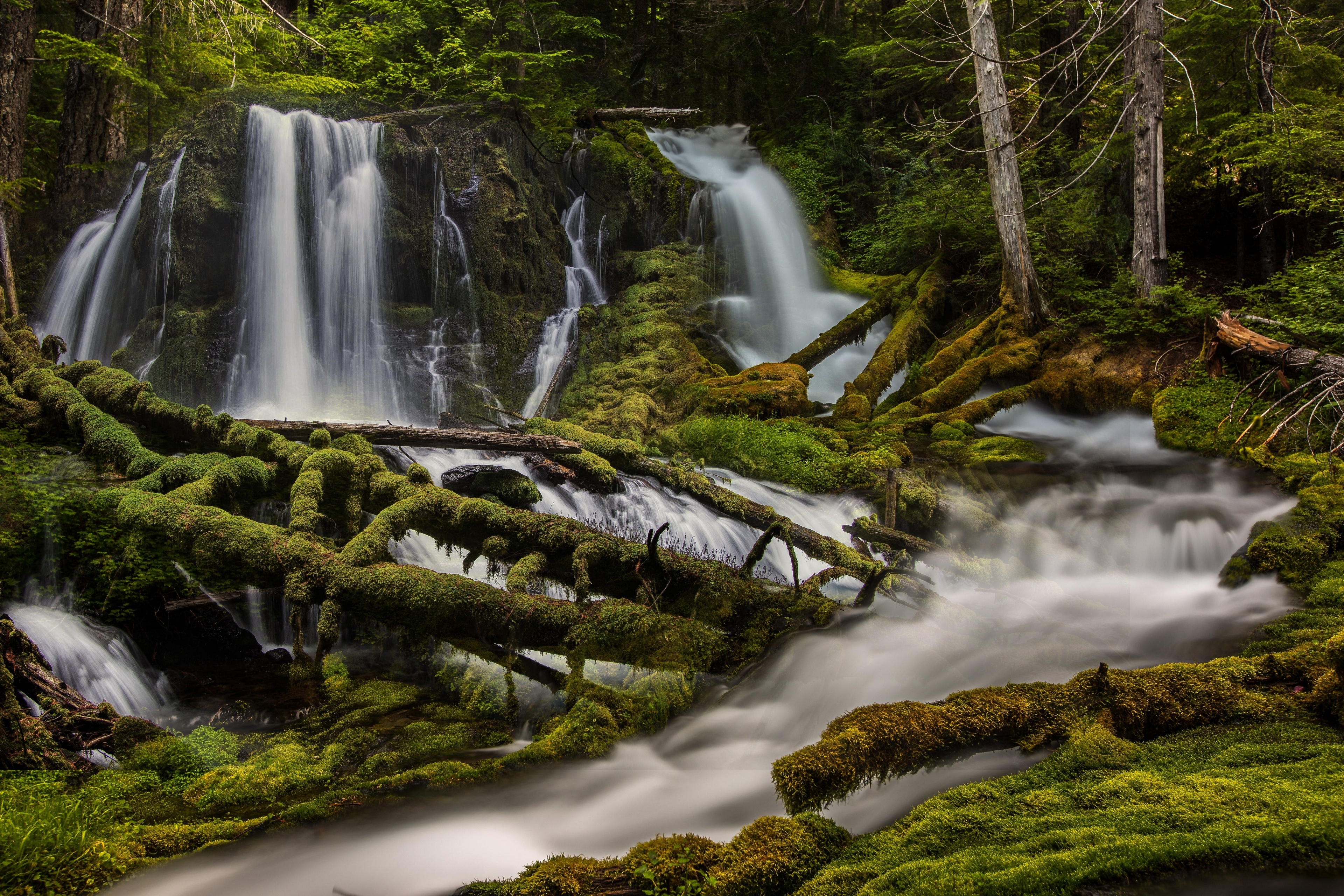 4K Mossy Waterfall in a US Forest HD Wallpaper
