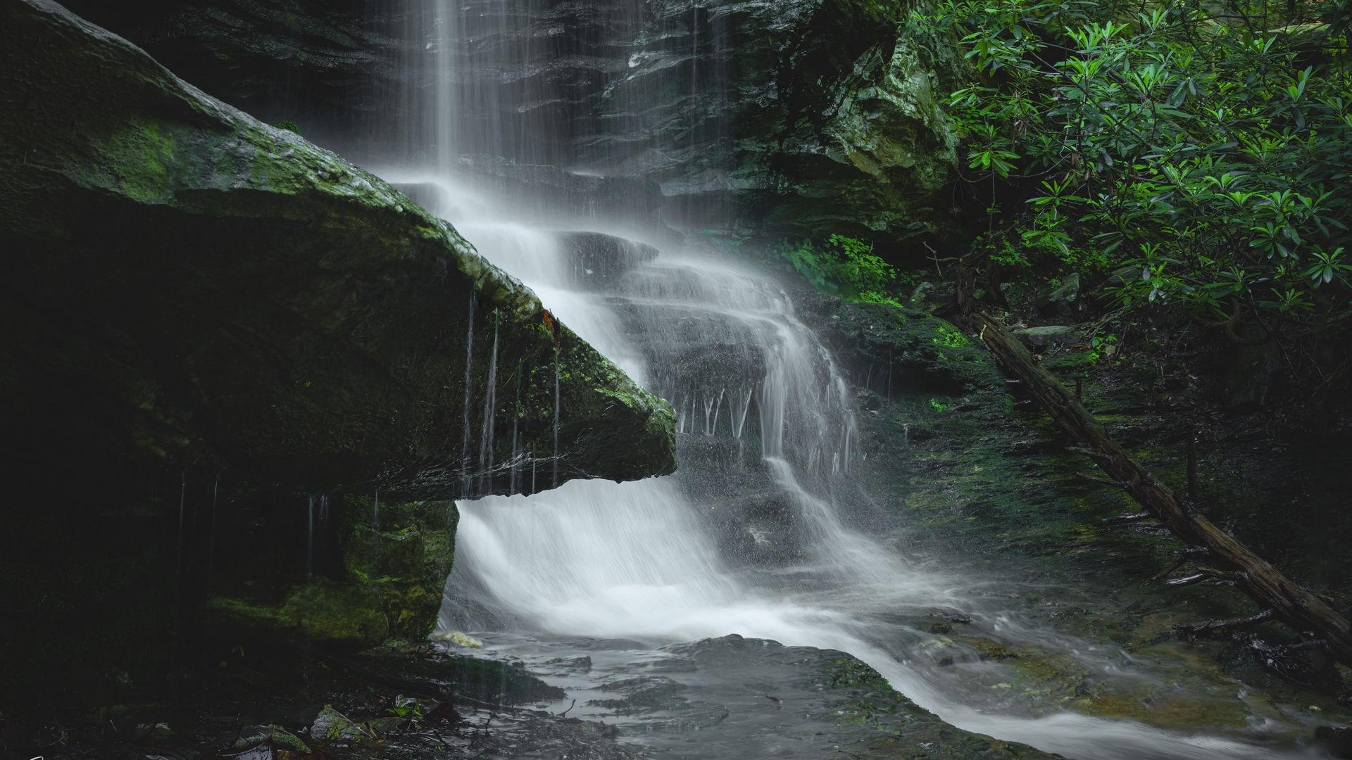 Waterfall cascading over mossy rocks in a forest HD Wallpaper