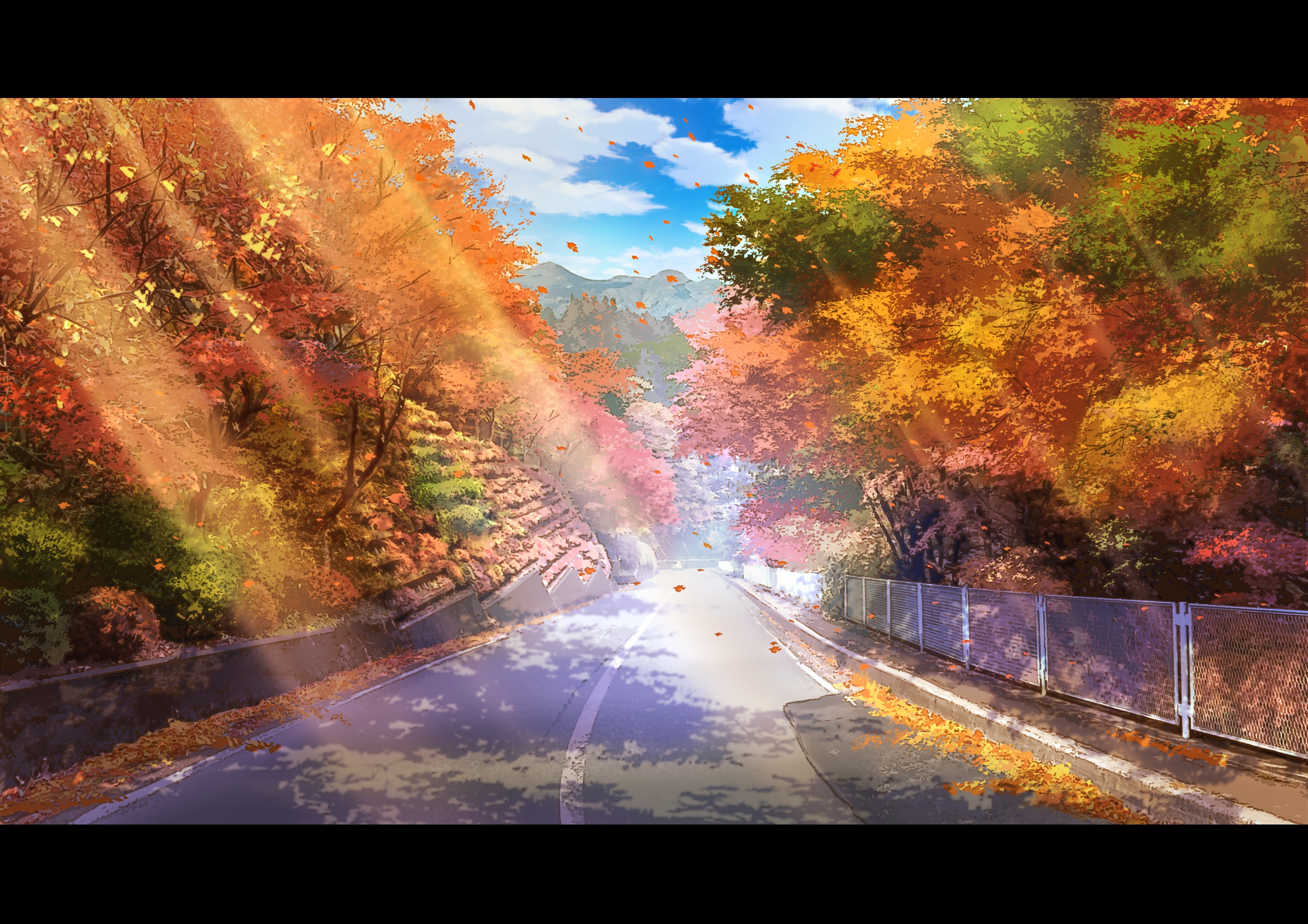 Autumn road with sunlight filtering through trees HD Wallpaper