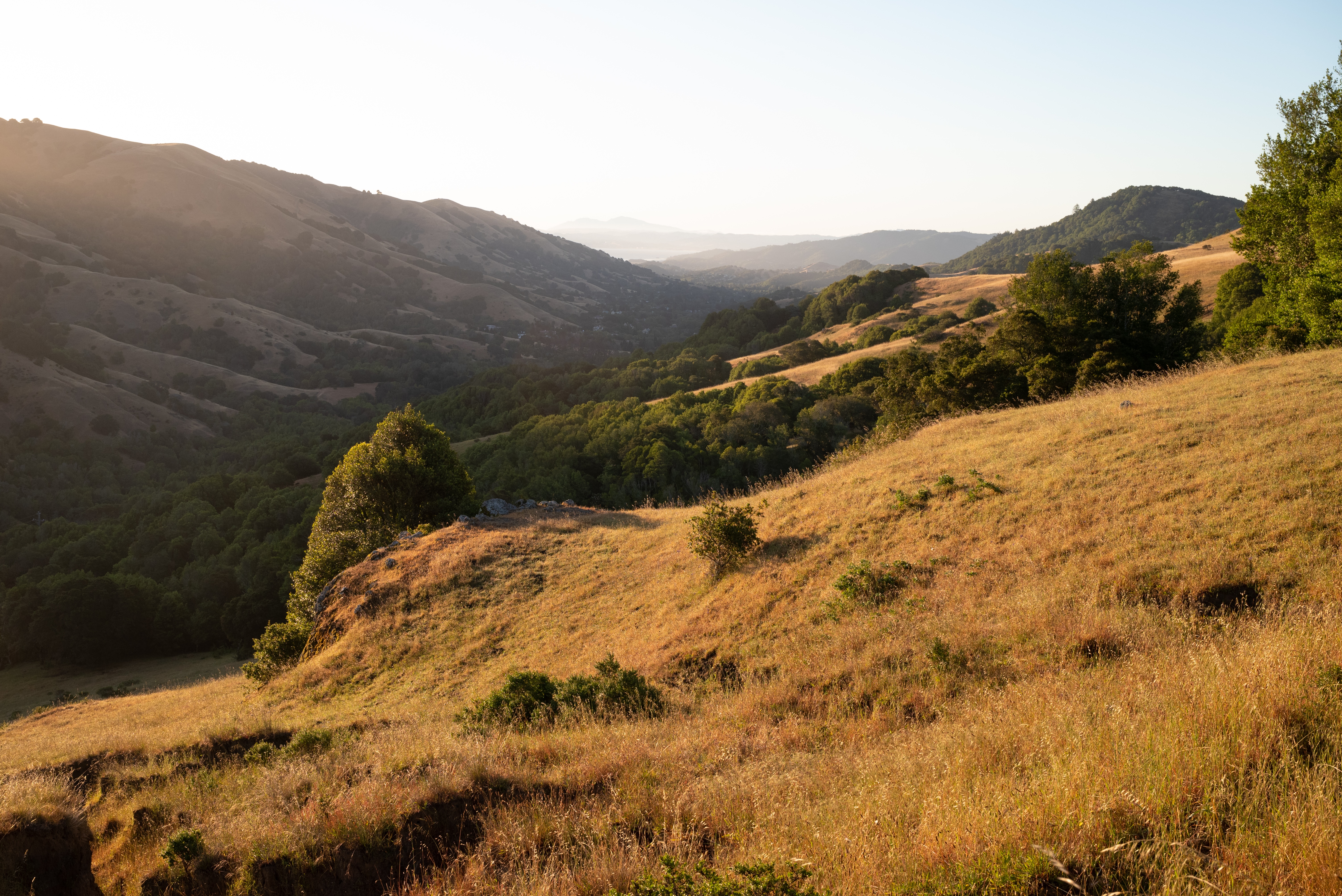 4K landscape of rolling hills at sunrise HD Wallpaper