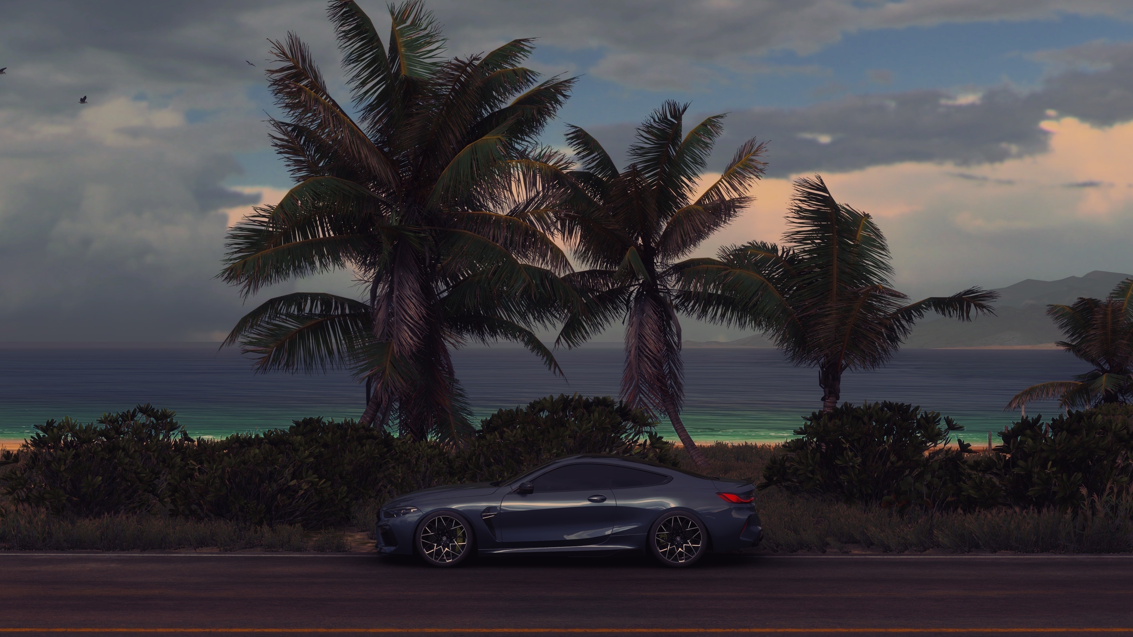 4K BMW car on a tropical road HD Wallpaper