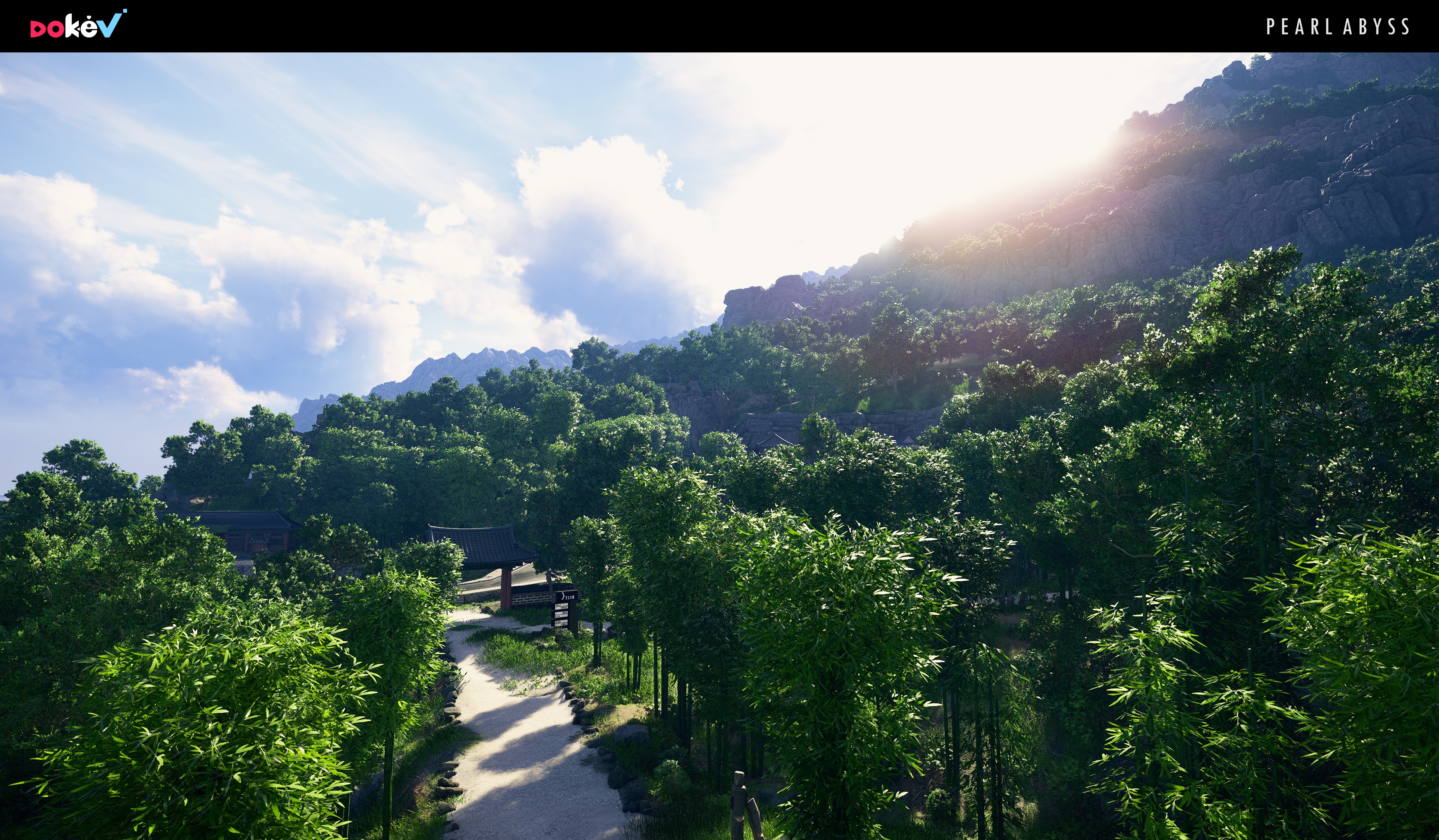 4K DokeV Pearl Abyss forest environment HD Wallpaper
