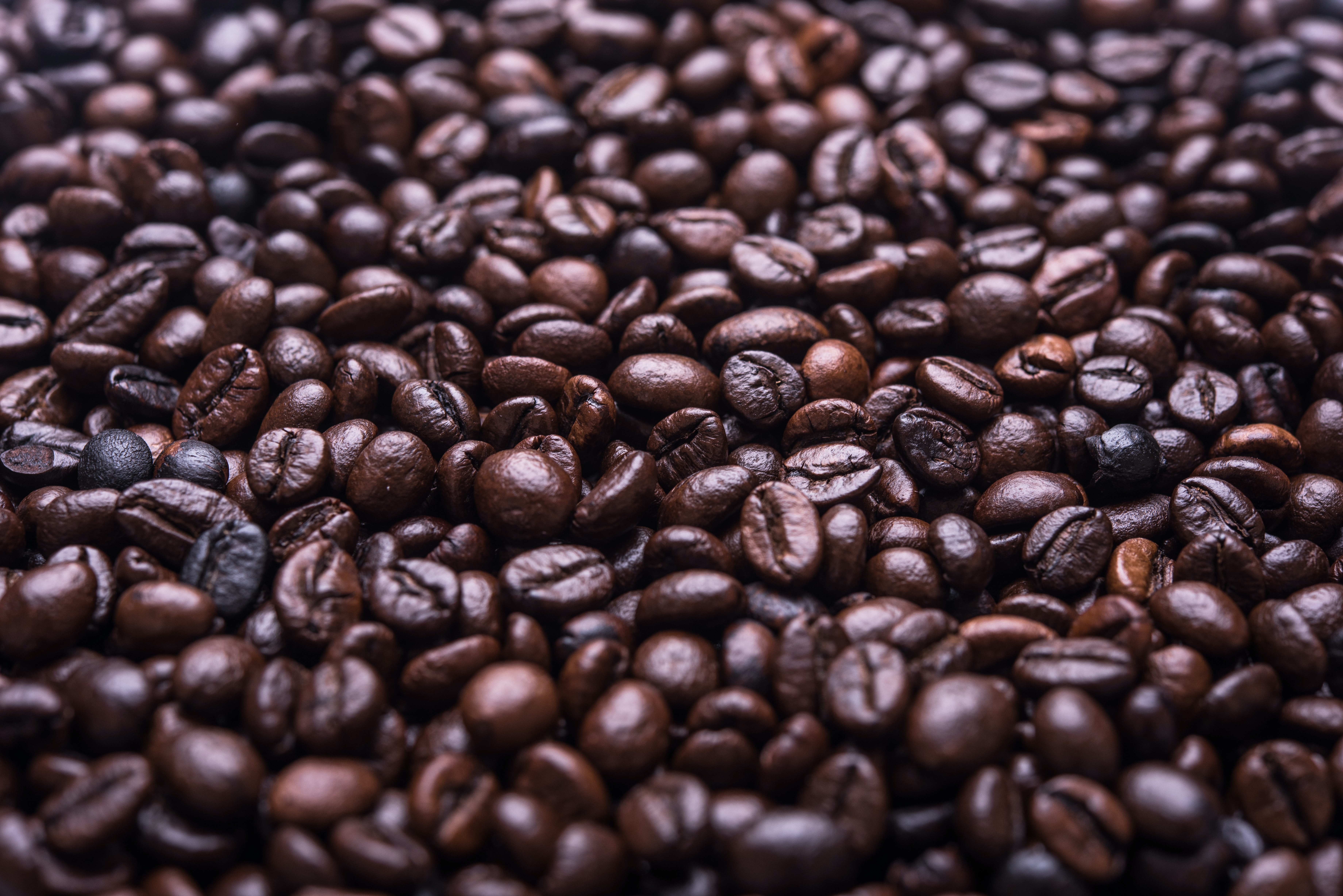 Close-up of roasted coffee beans HD Wallpaper