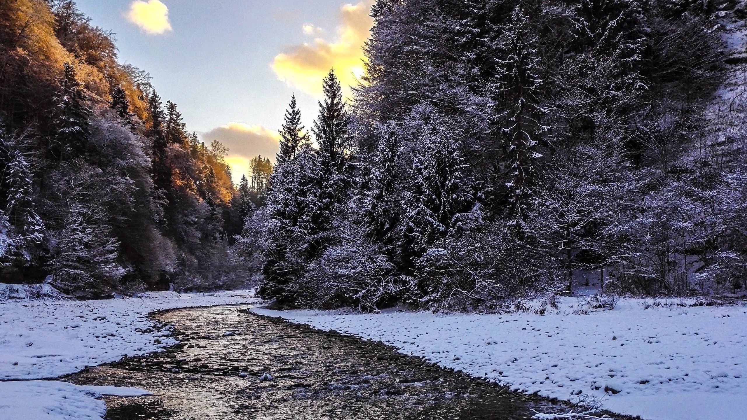 Winter river flowing through a snow-covered forest landscape HD Wallpaper