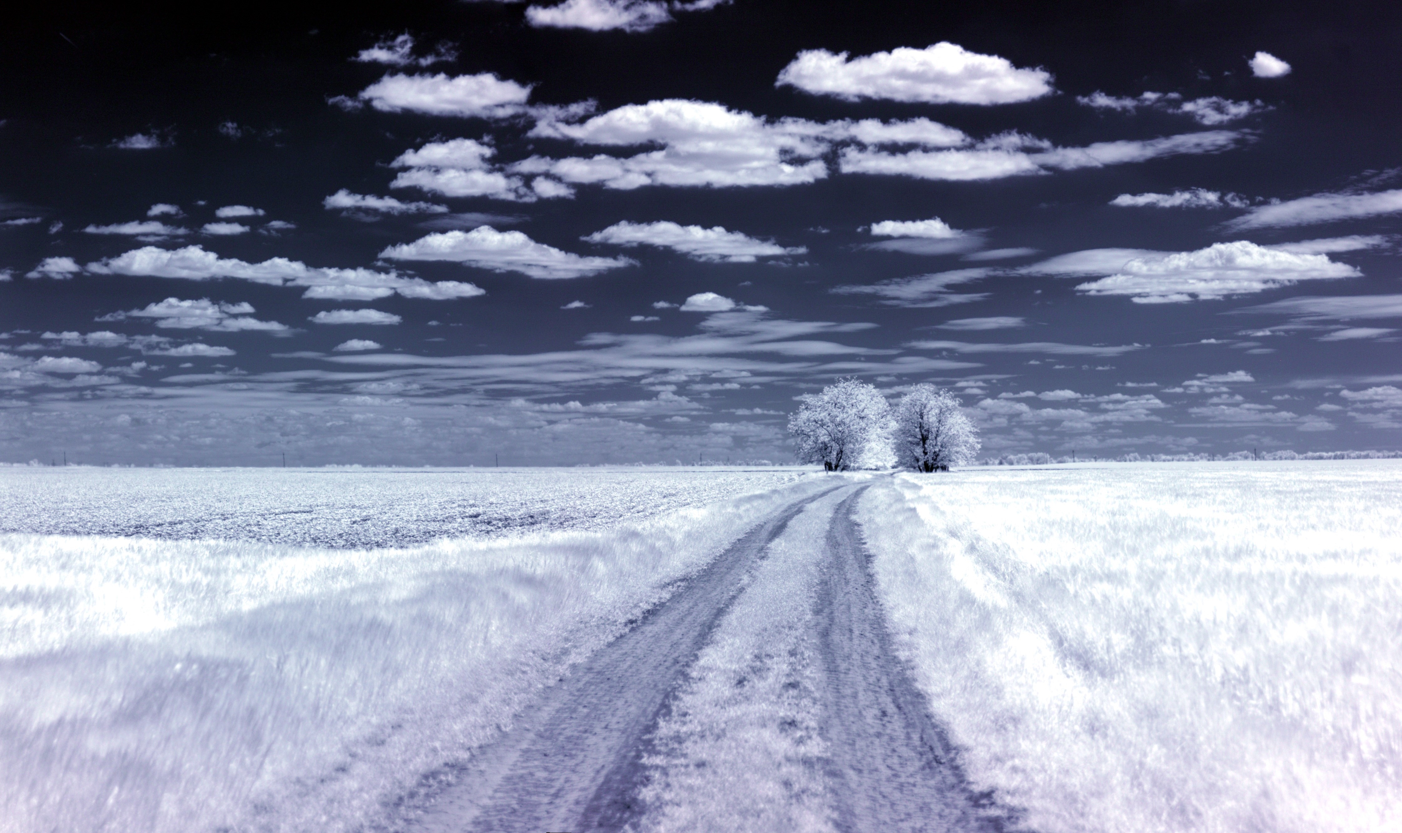 Infrared landscape with a dirt road and trees HD Wallpaper