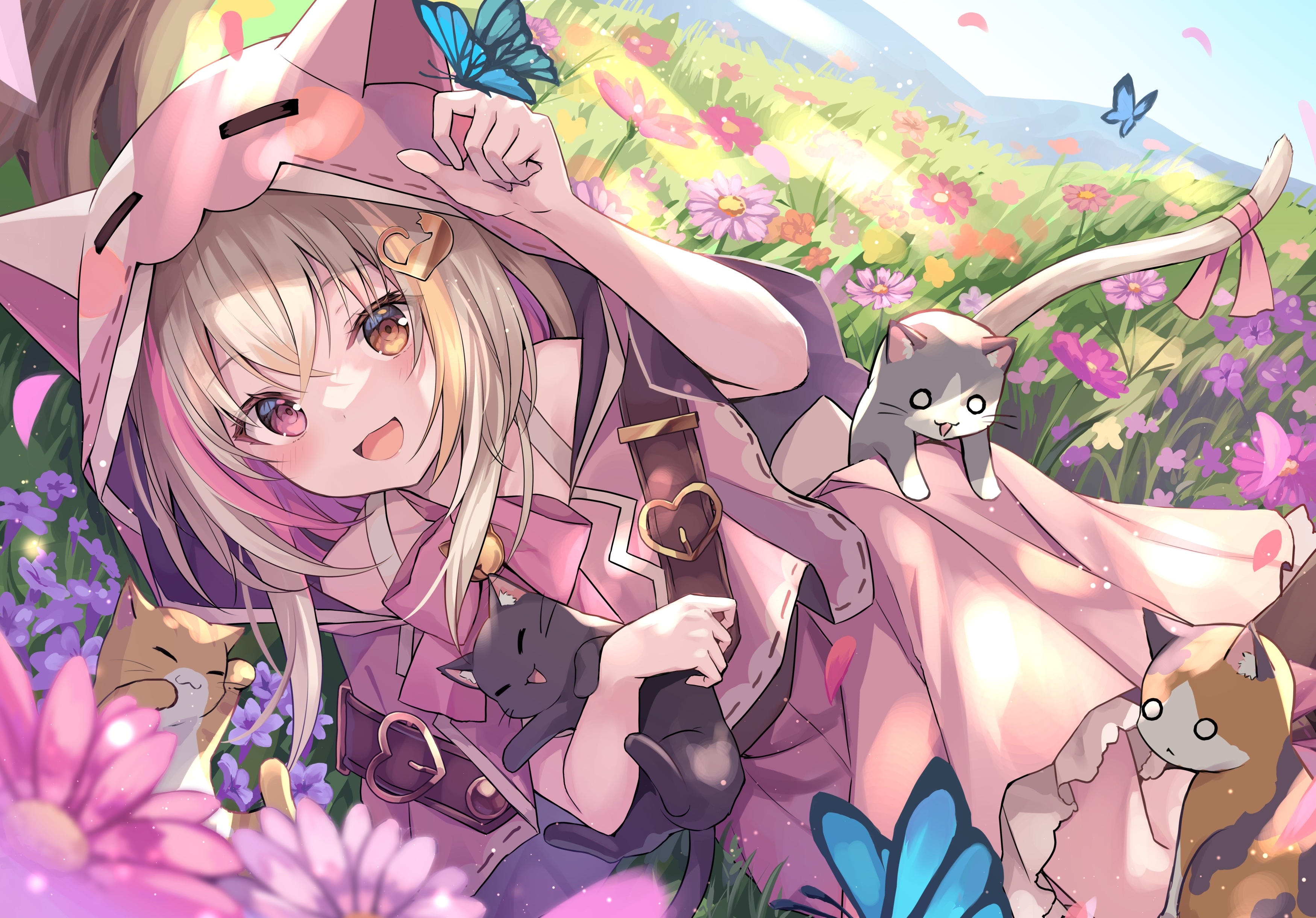 Anime cat girl with cats and butterflies in a flower field HD Wallpaper