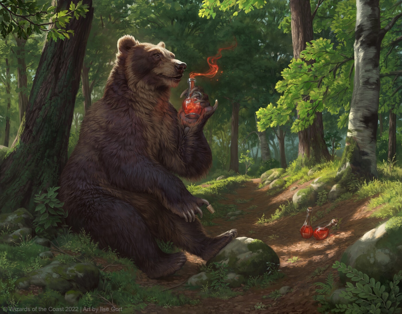 Bear holding a glowing potion in a forest HD Wallpaper