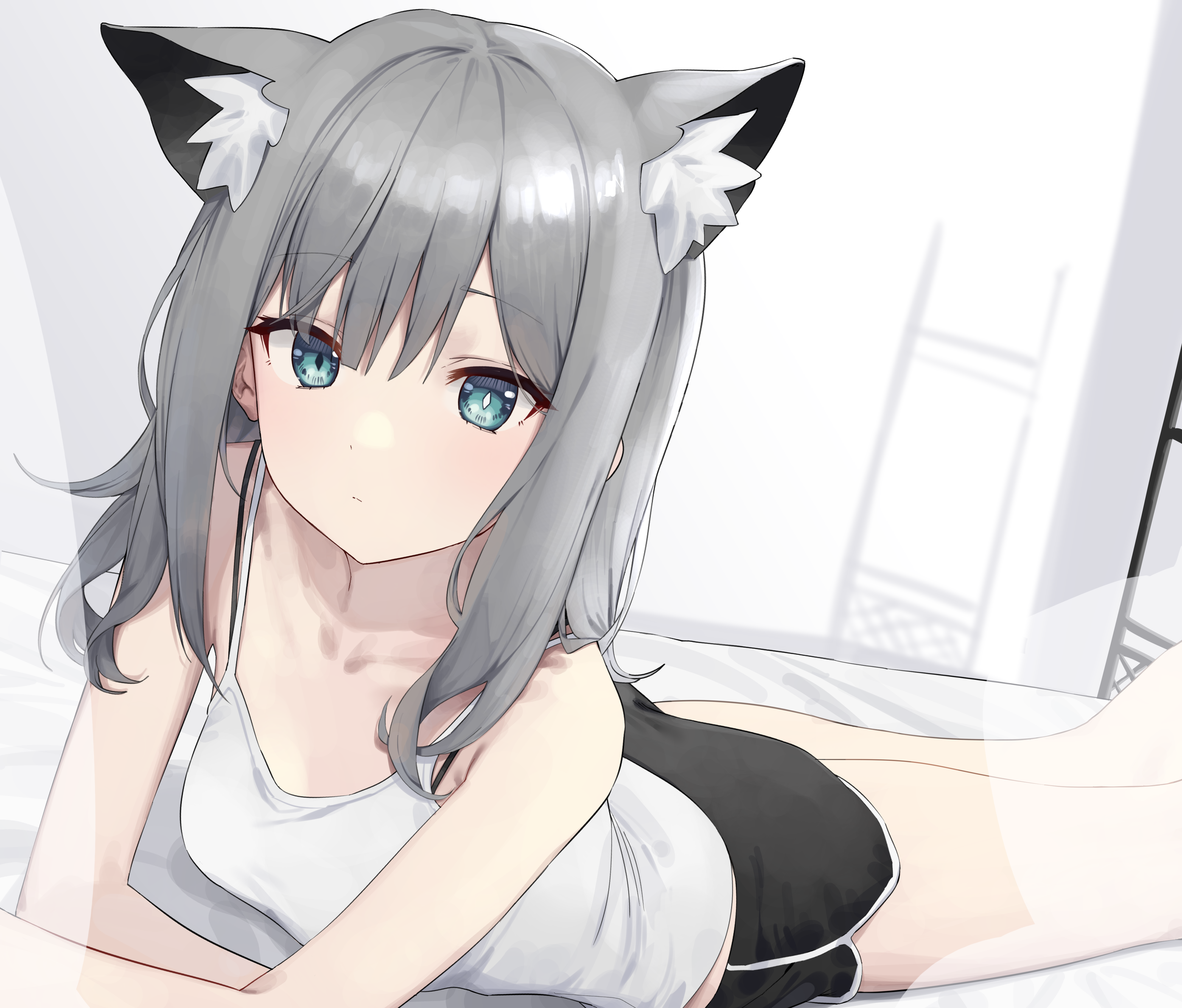Anime girl with cat ears wearing shorts HD Wallpaper