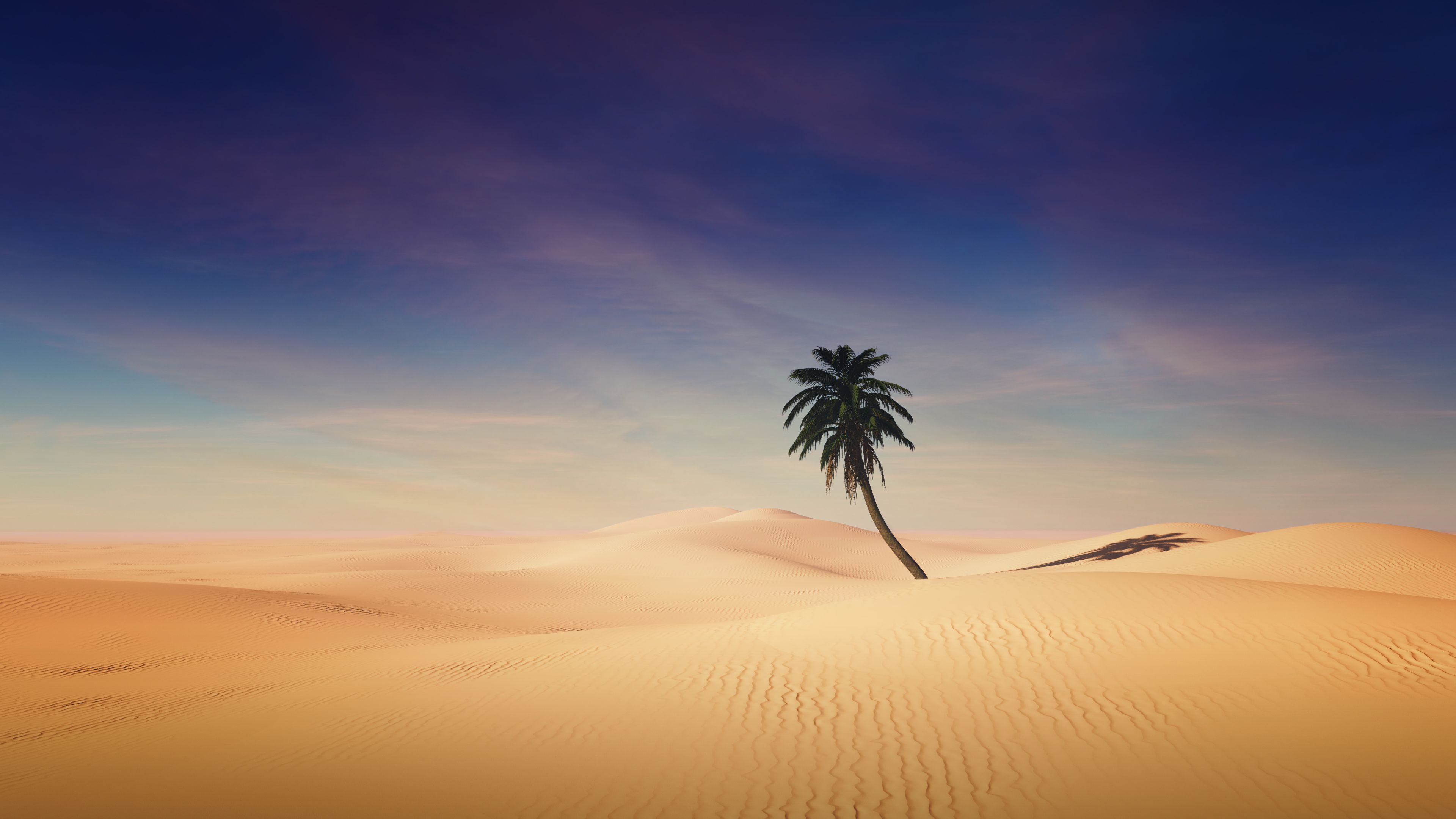 4K desert landscape with a lone palm tree HD Wallpaper