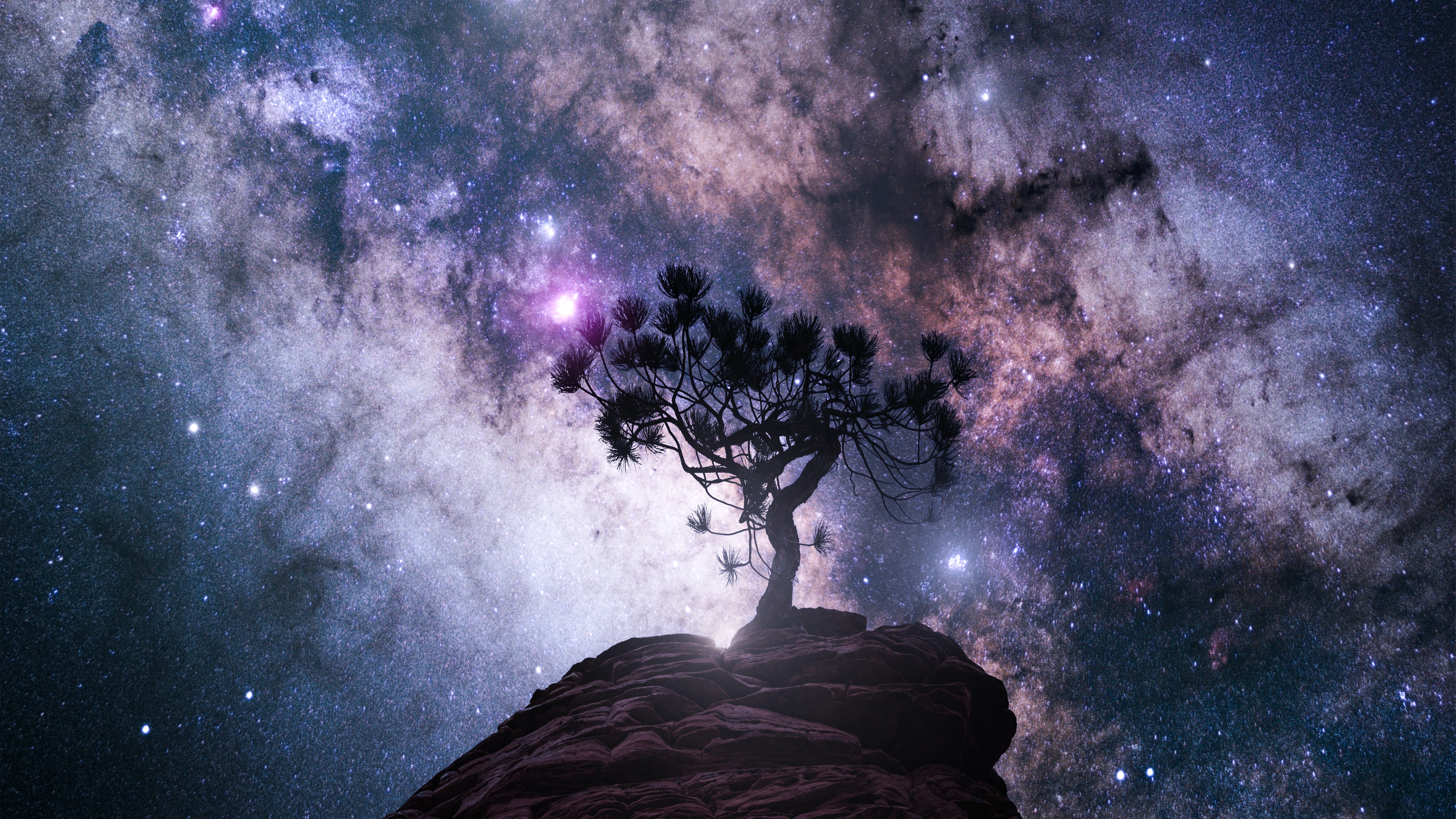 Silhouette of a tree on a rock under the galaxy HD Wallpaper