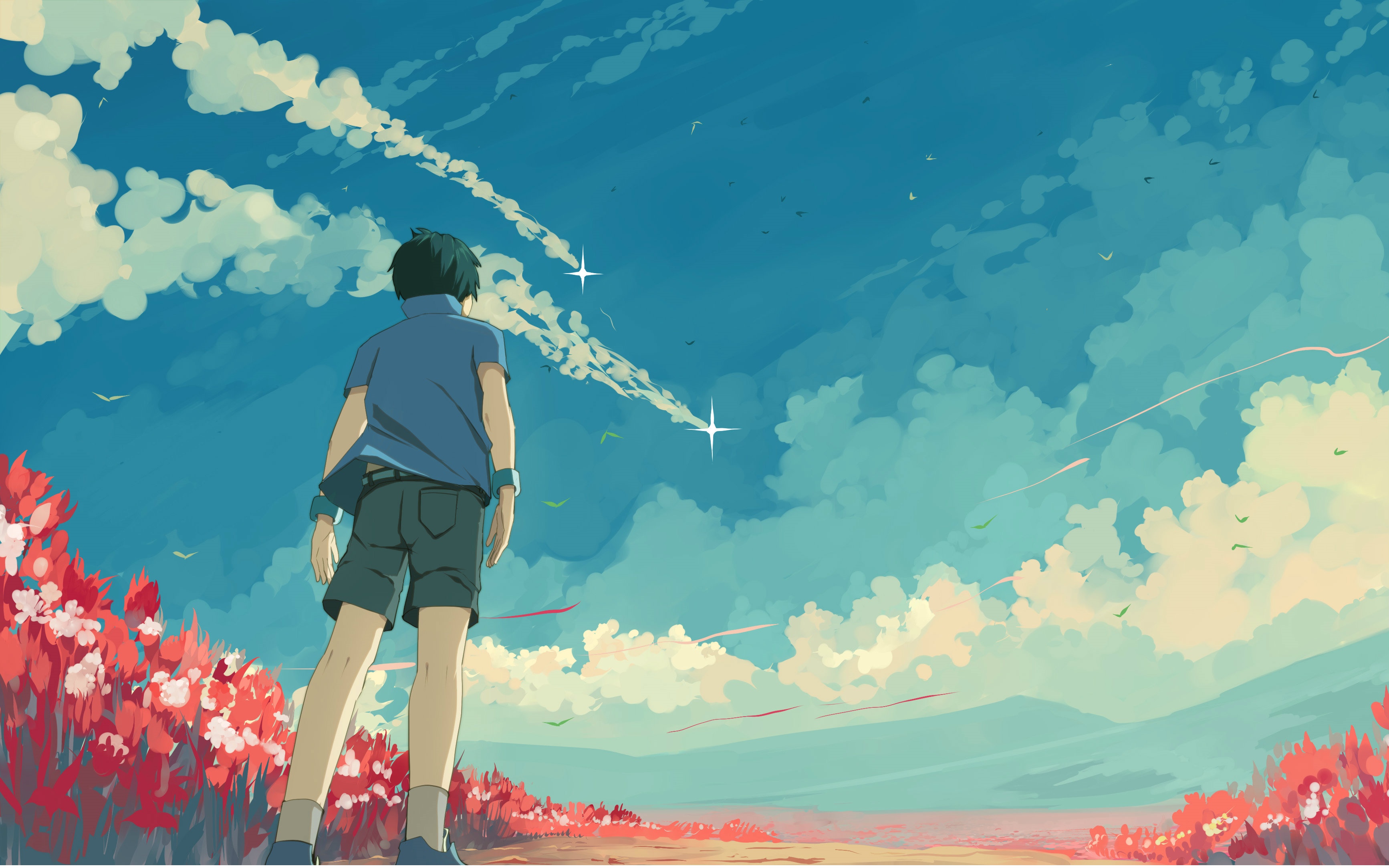 Anime boy looking at shooting stars in the sky HD Wallpaper