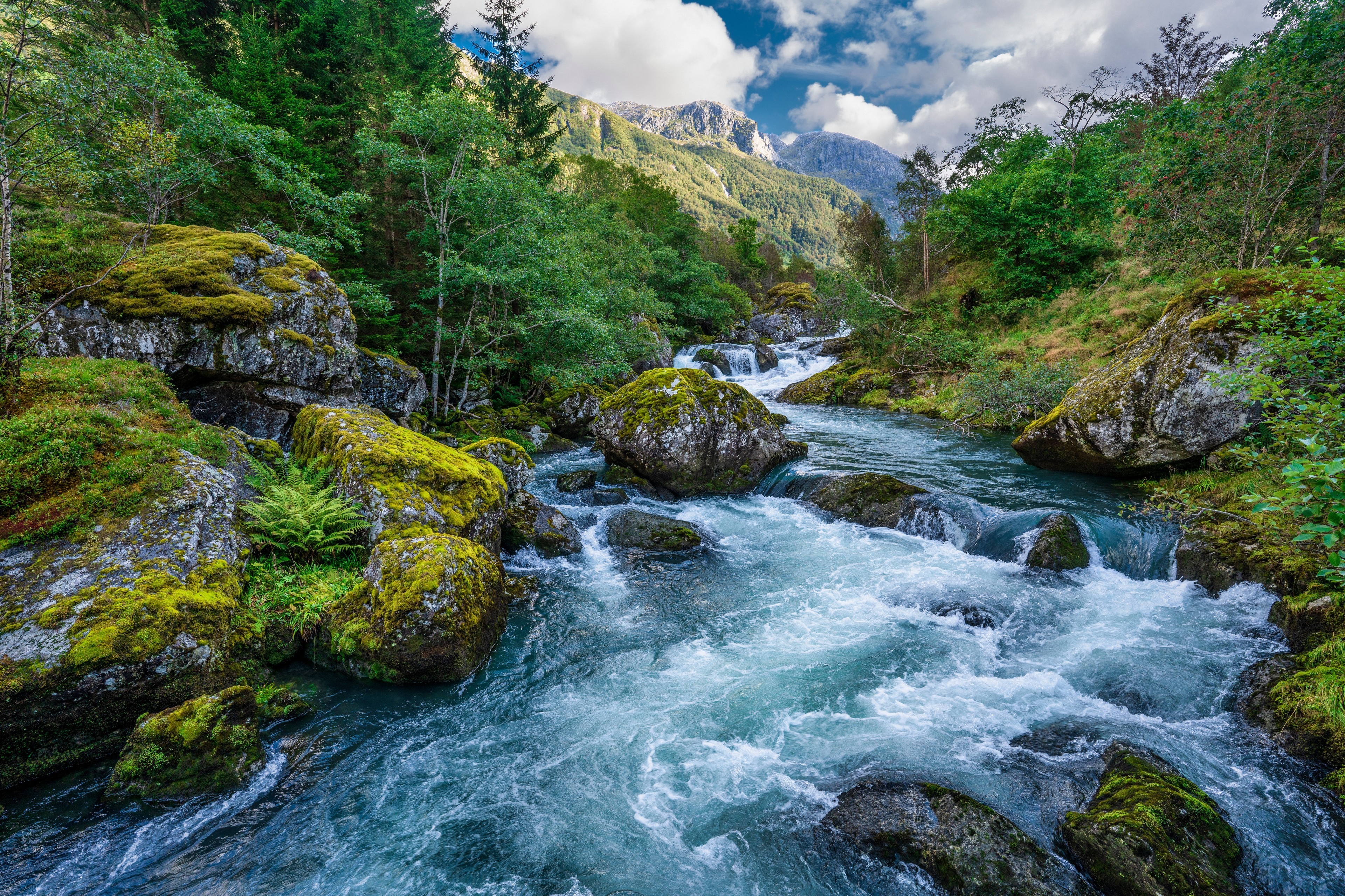 4K Norway river flowing through a mossy forest and mountains HD Wallpaper