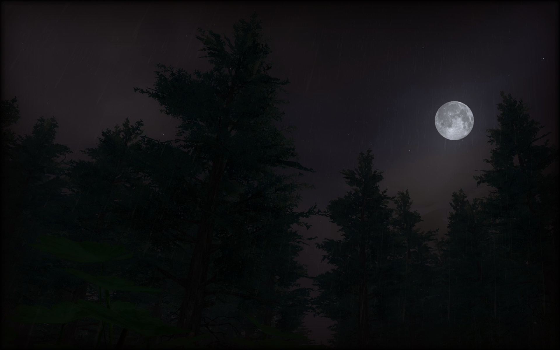 Night forest with moon and rain HD Wallpaper