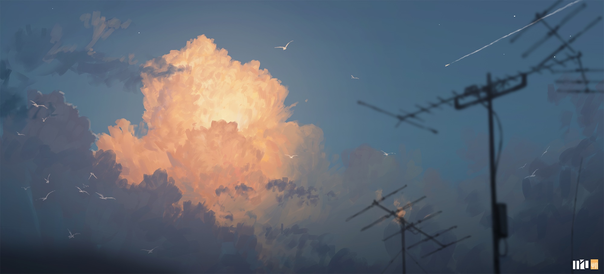 Fluffy clouds and seagulls in the sky HD Wallpaper