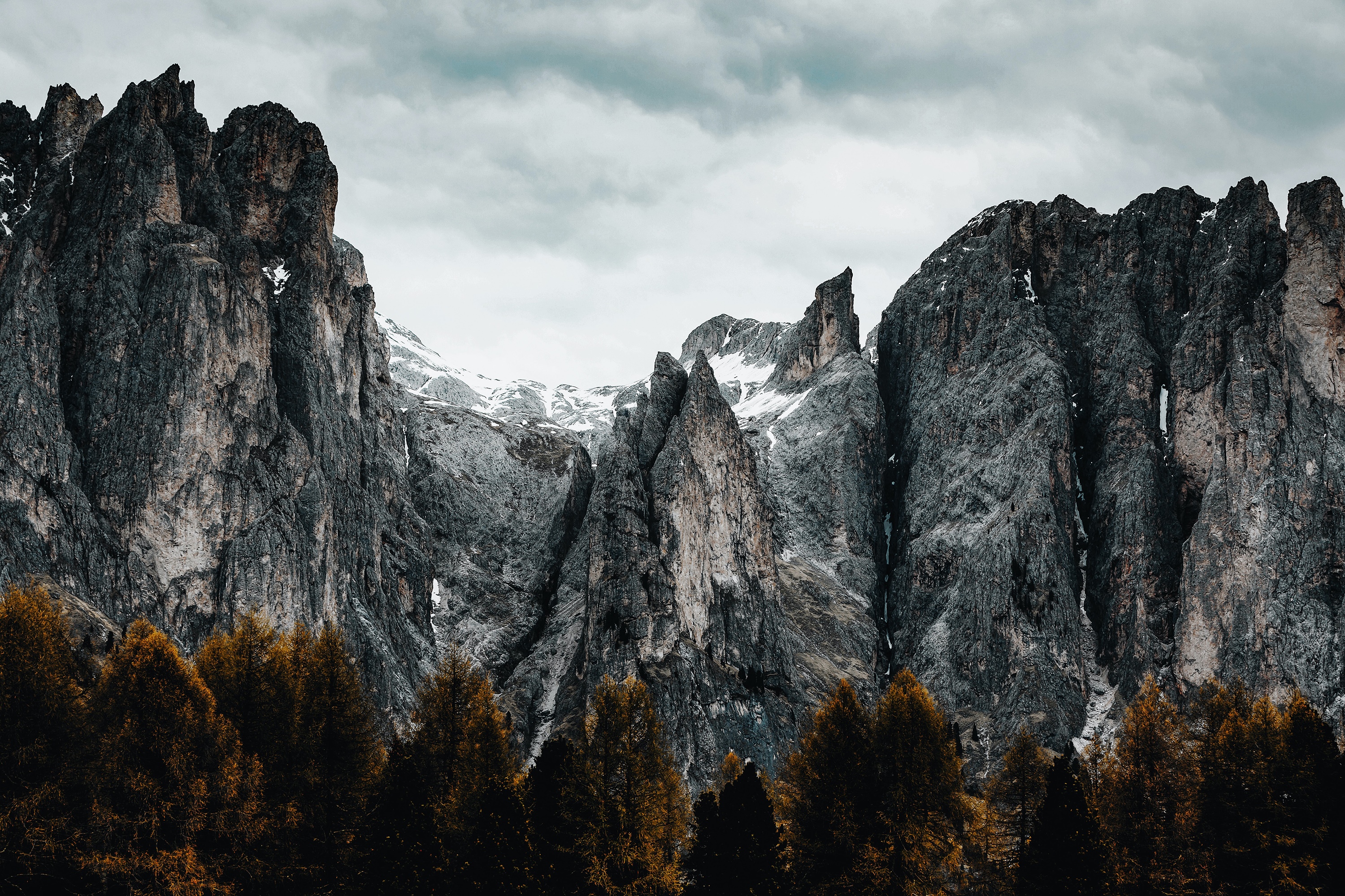 Jagged mountains with snow and pine forest HD Wallpaper