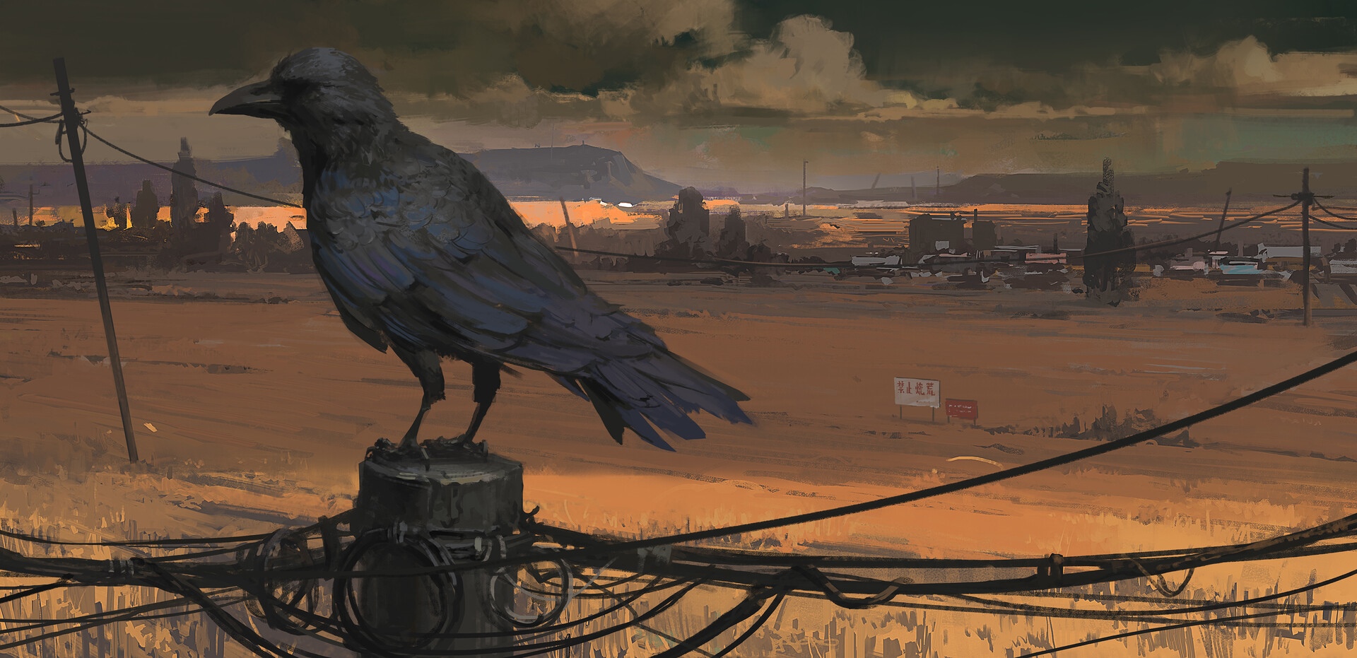 A crow perched on a utility pole overlooking a desolate town HD Wallpaper