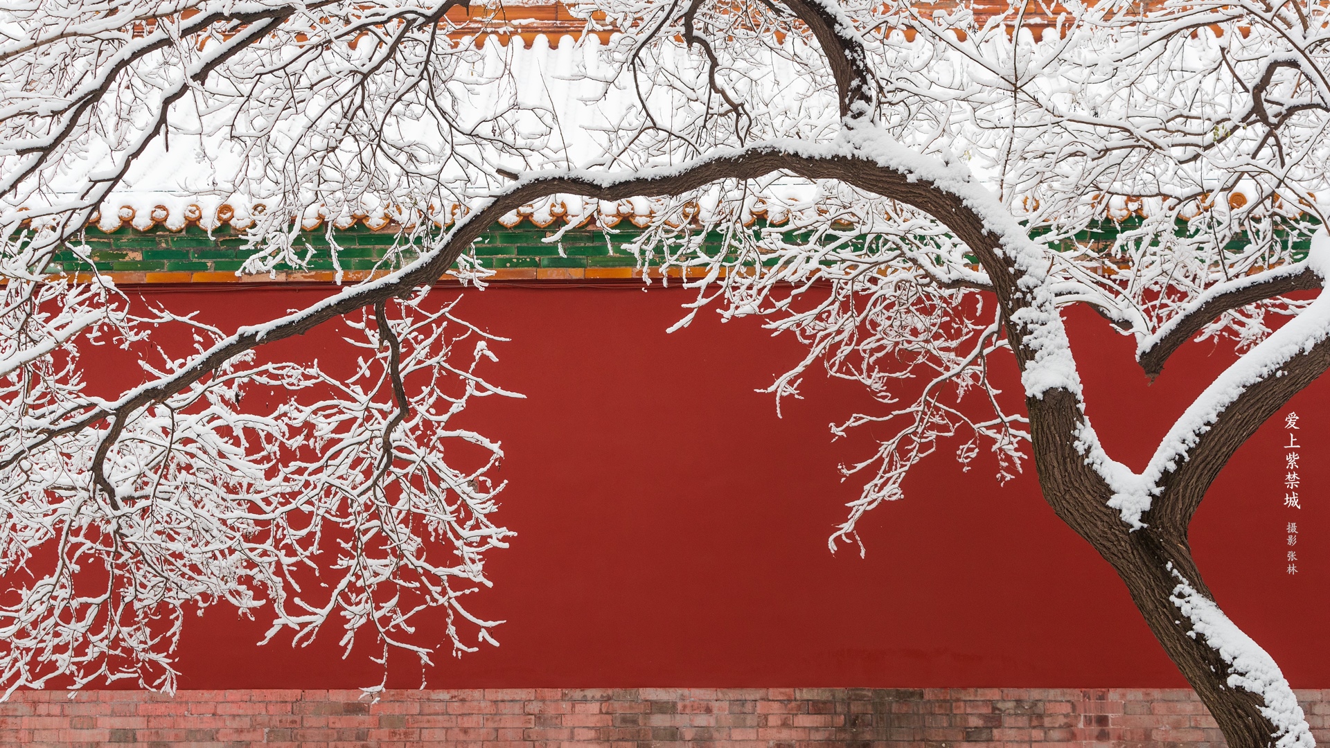 The Imperial Palace in snow with snow-covered trees HD Wallpaper