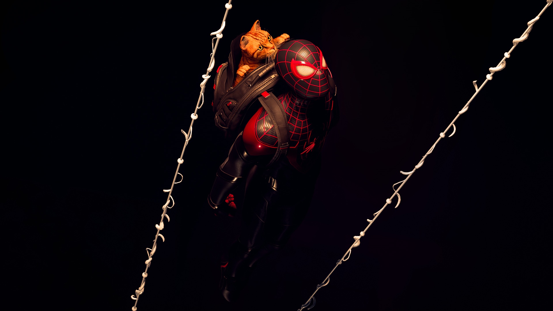 Spider-Man Miles Morales with a cat HD Wallpaper