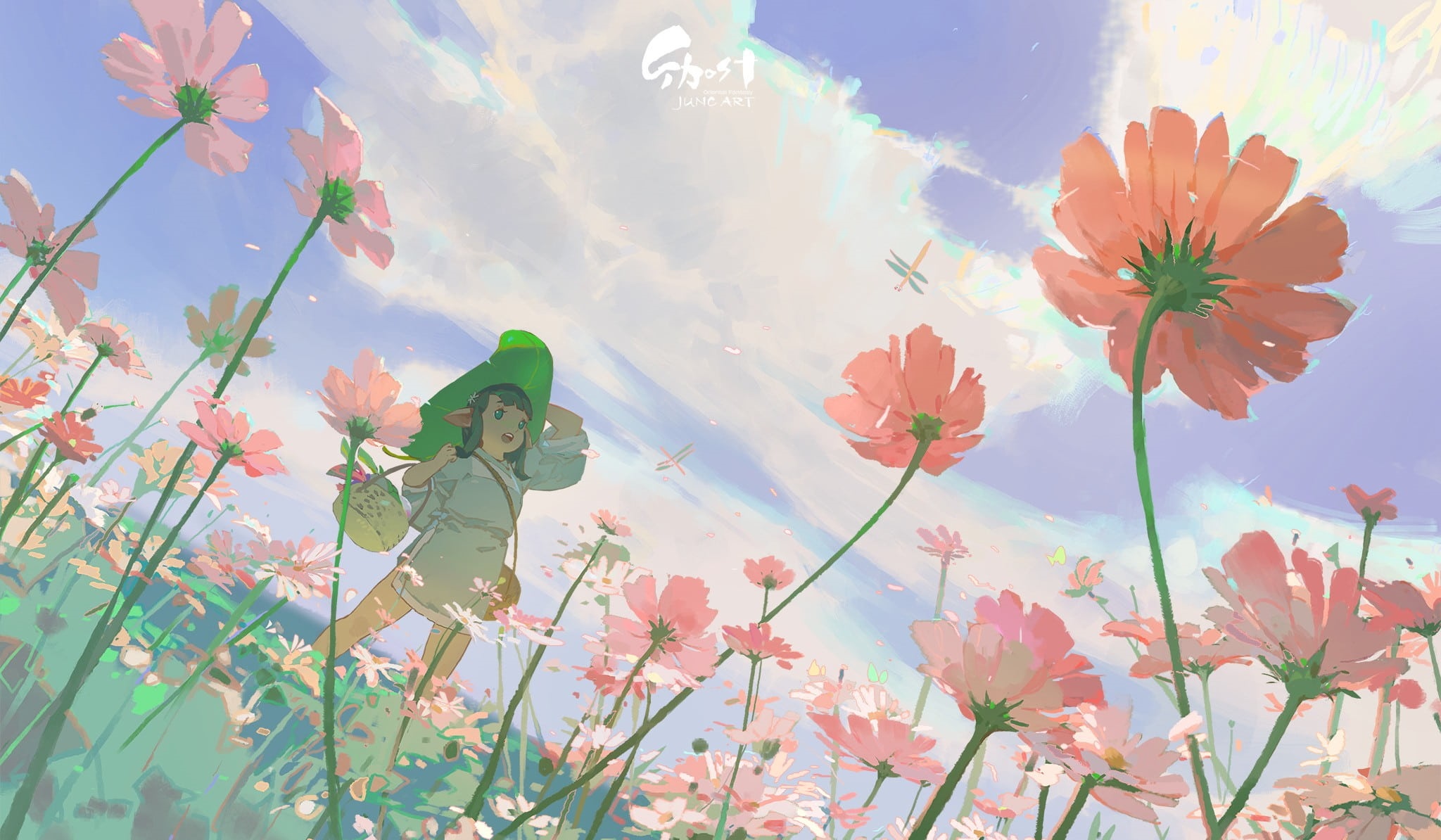 Anime girl in a field of cosmos flowers HD Wallpaper