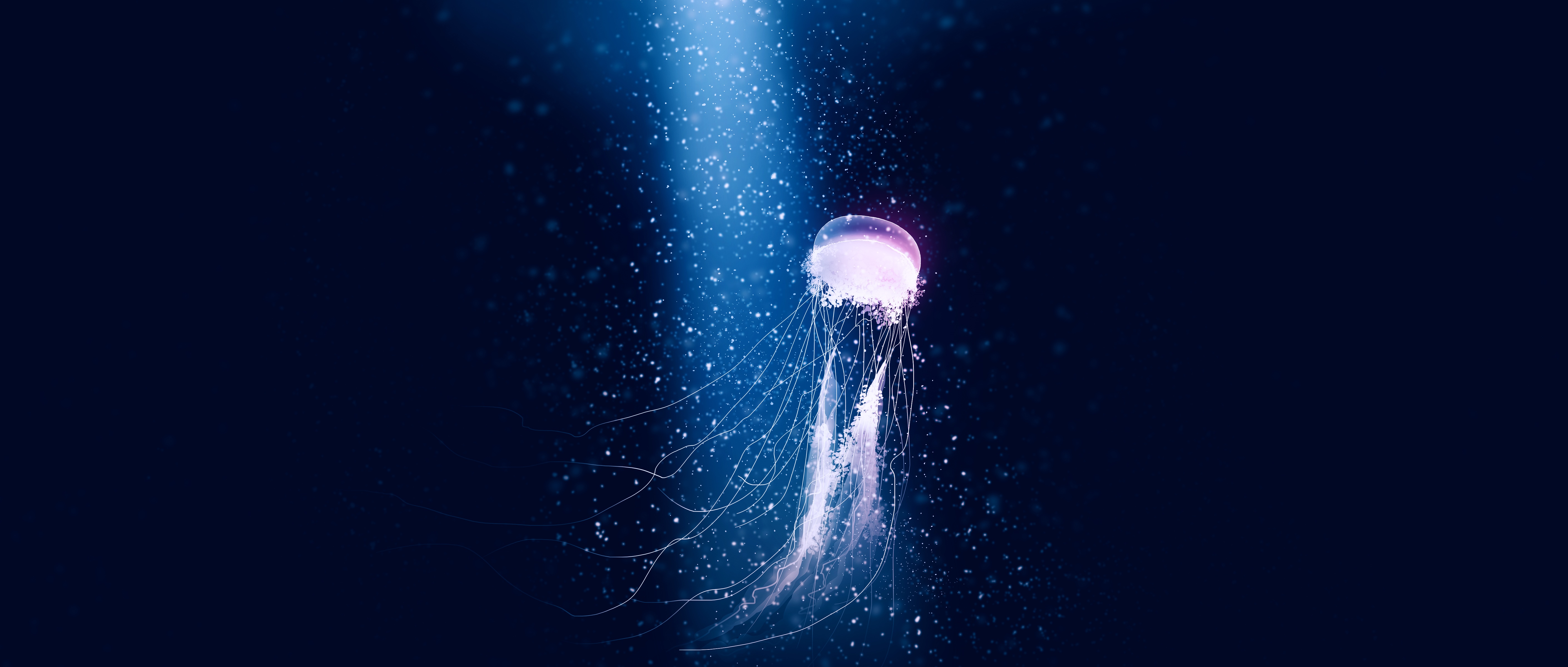 4K Digital Painting of a Gracile Jellyfish in the Deep Sea HD Wallpaper