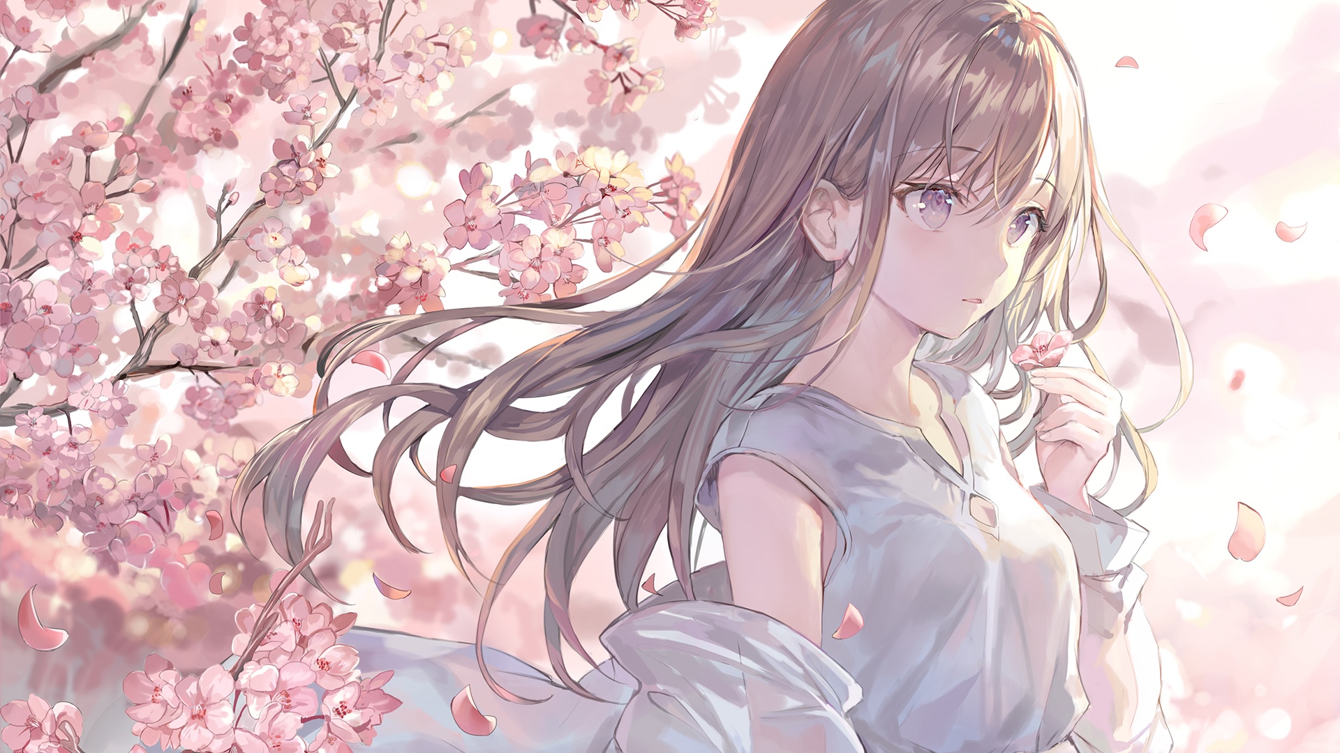 Momoko with Cherry Blossoms HD Wallpaper