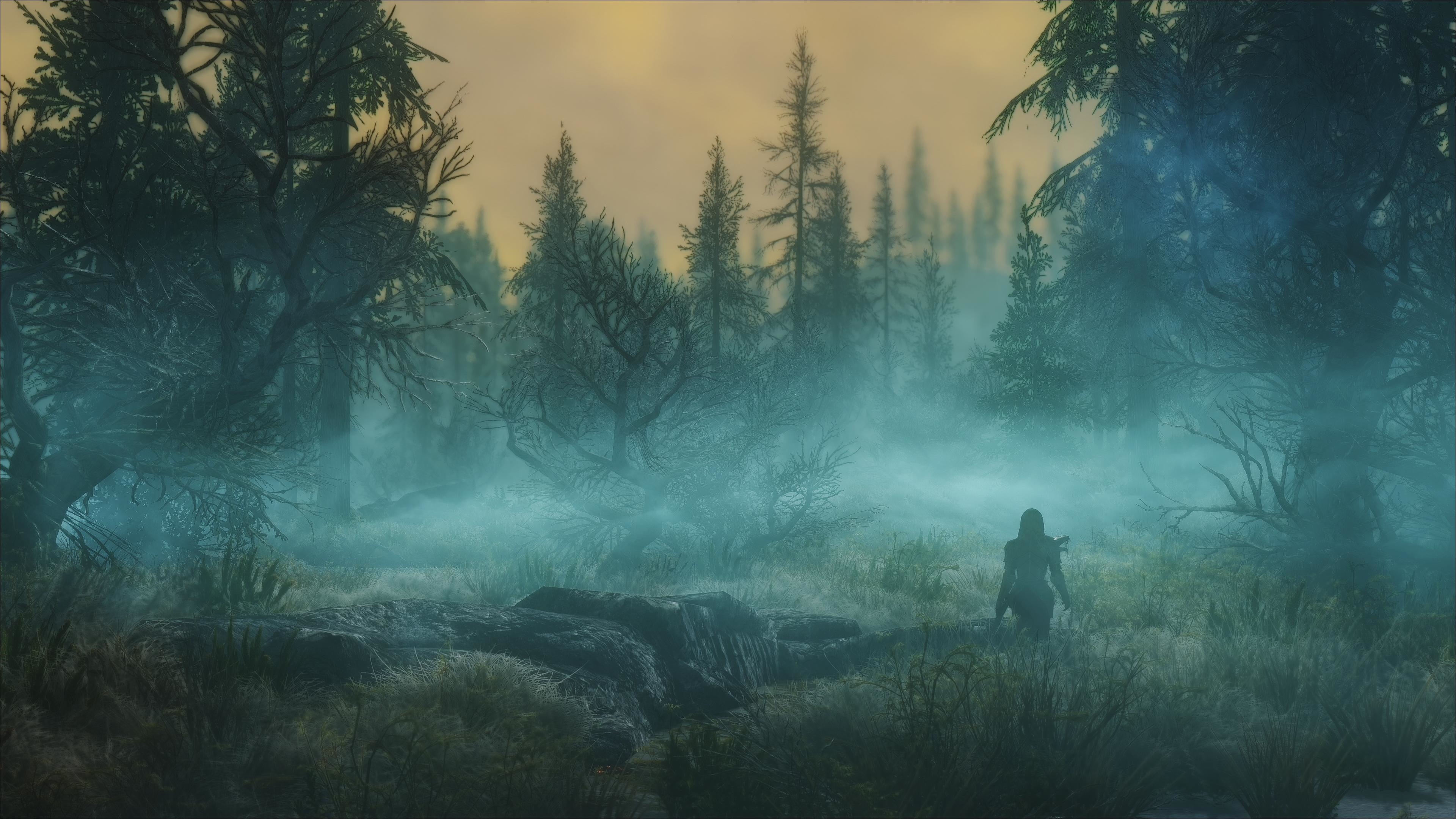 The Elder Scrolls V: Skyrim 4K screenshot HD Wallpaper