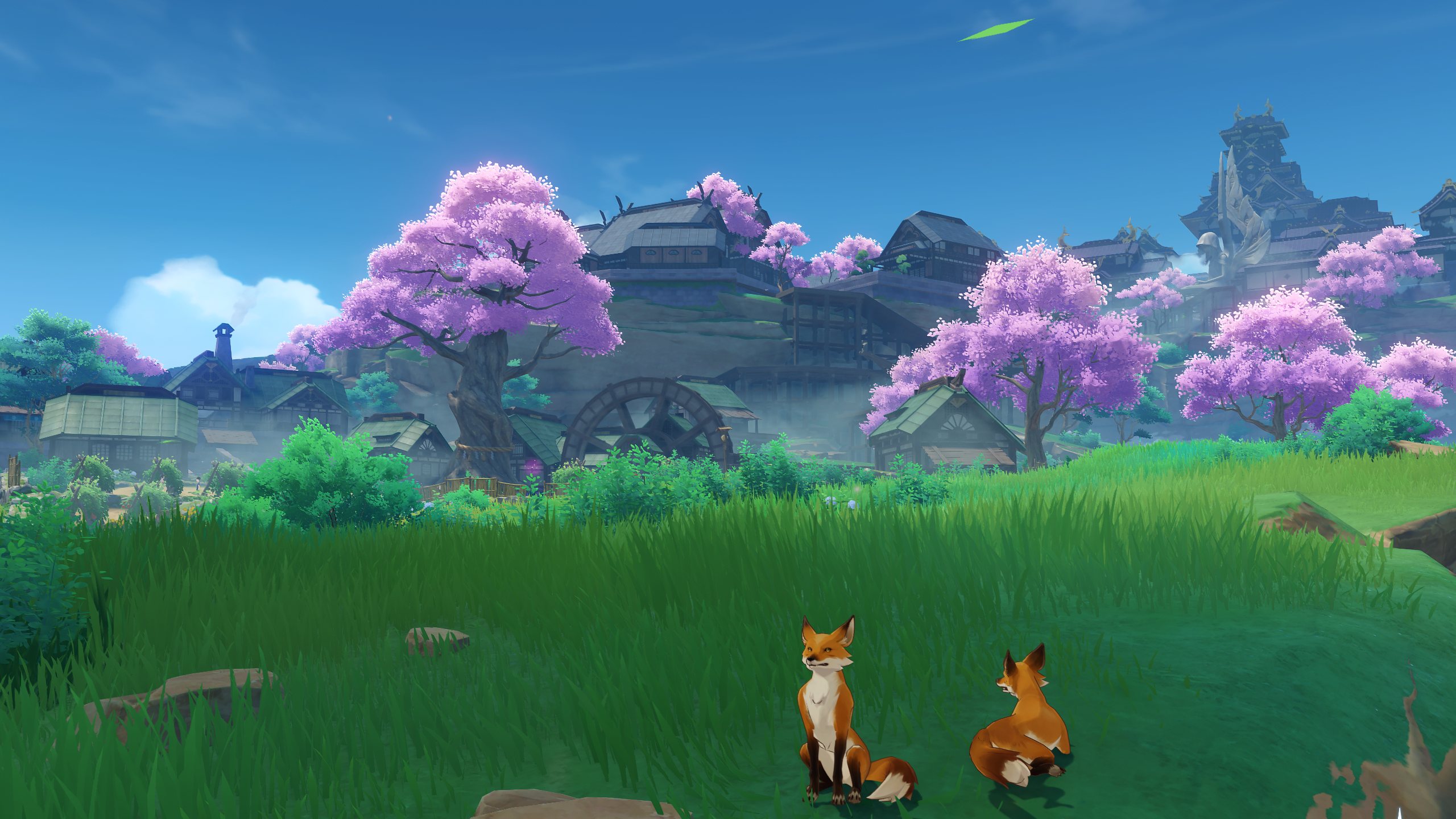 Two foxes in a grassy field with a village in the background HD Wallpaper
