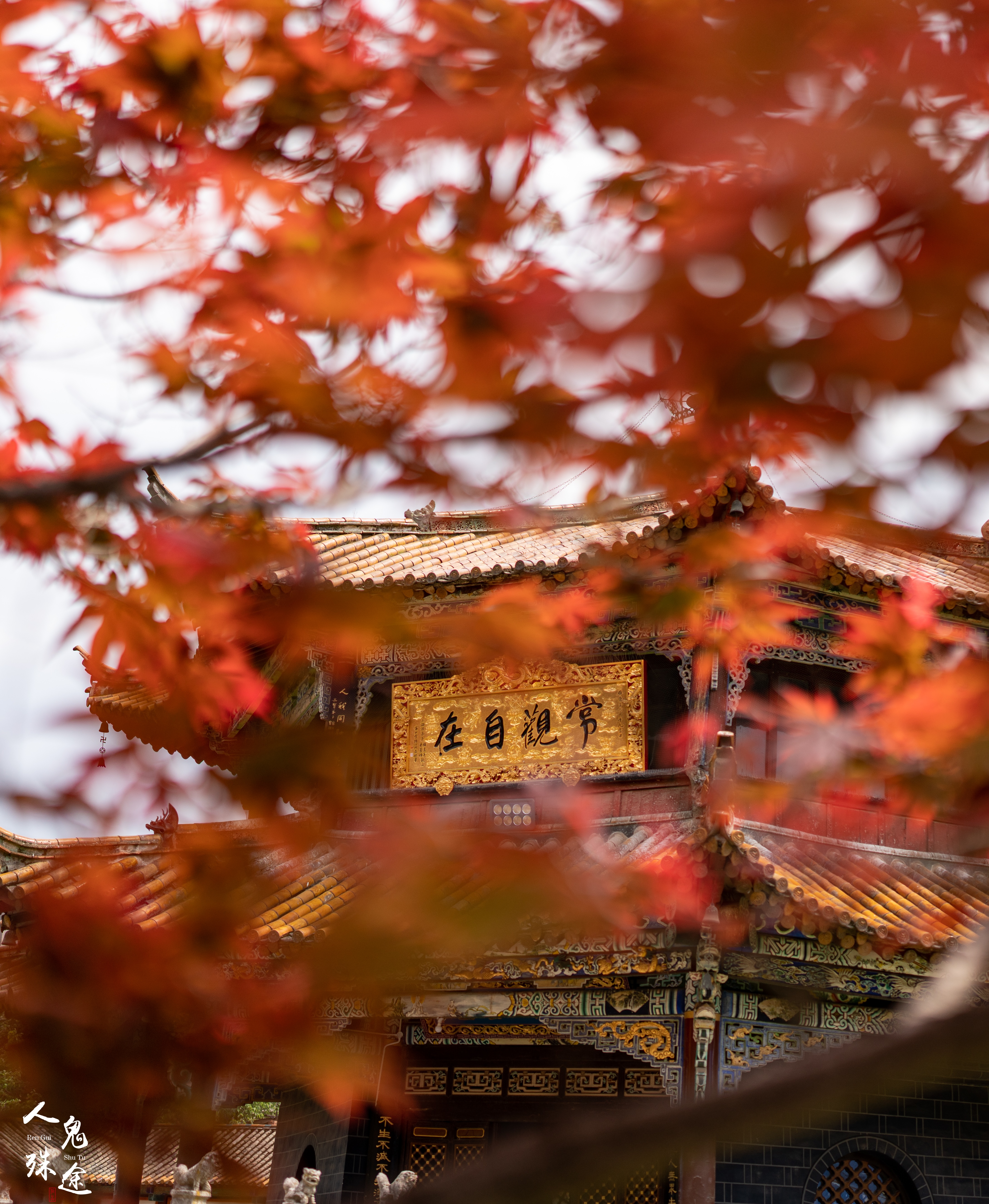 Temple with autumn leaves HD Phone Wallpaper