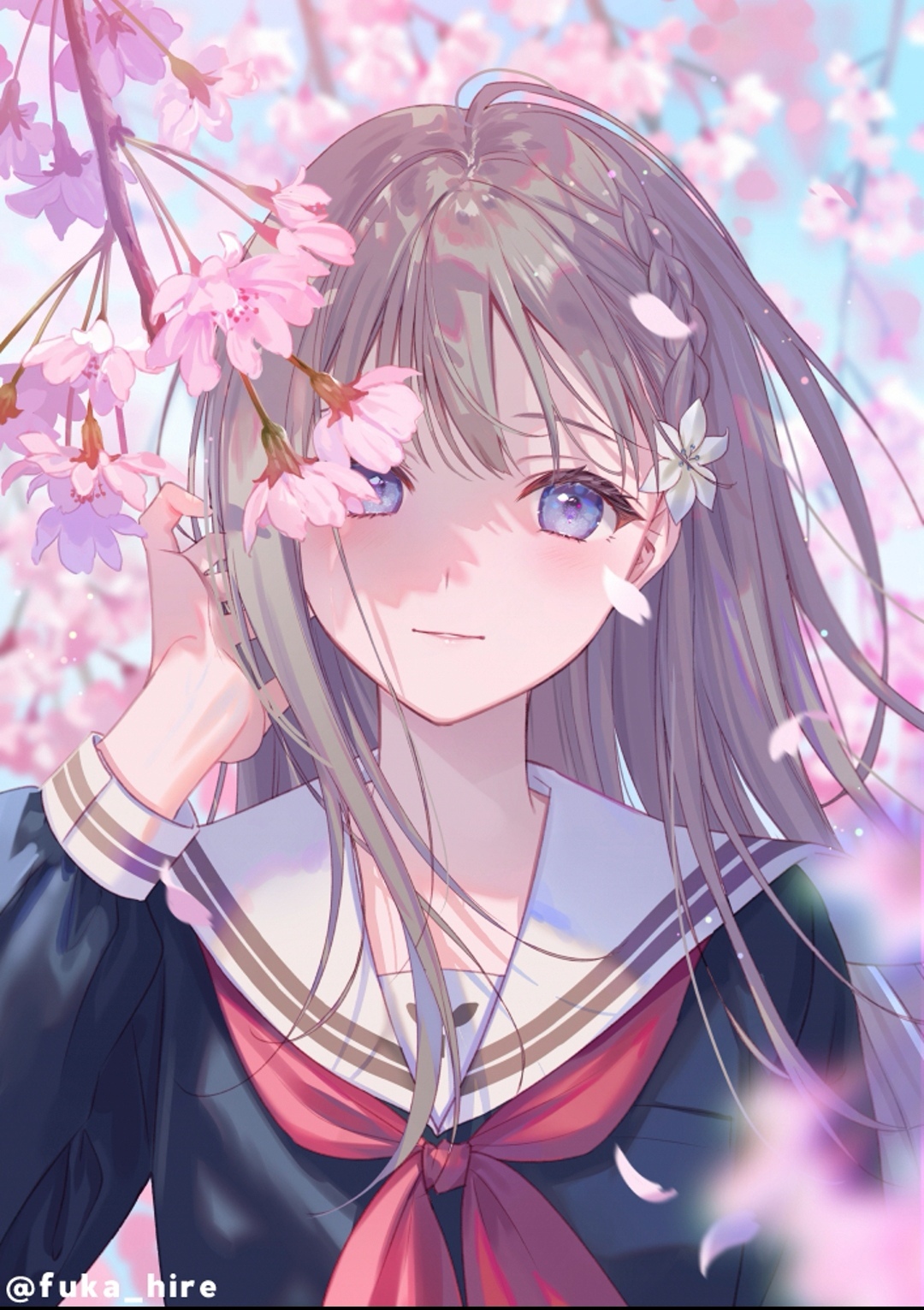 Anime girl with blue hair and cherry blossoms HD Phone Wallpaper