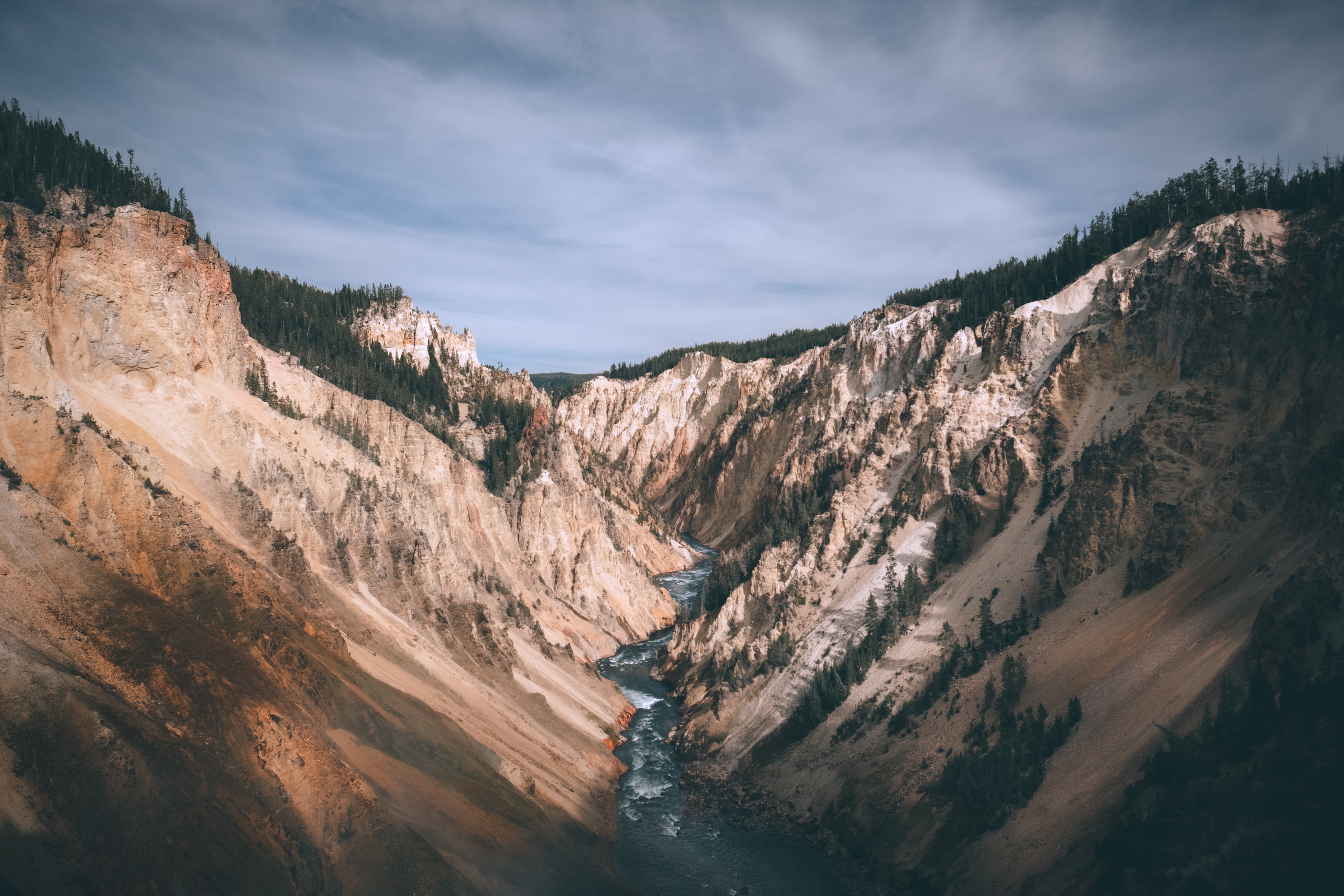4K Canyon with River and Forest HD Wallpaper