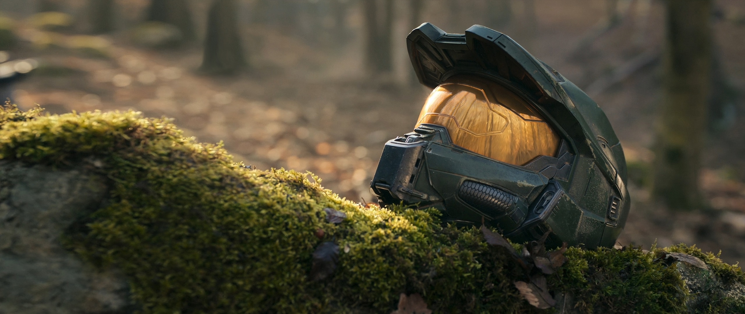 Master Chief's helmet in a forest HD Wallpaper