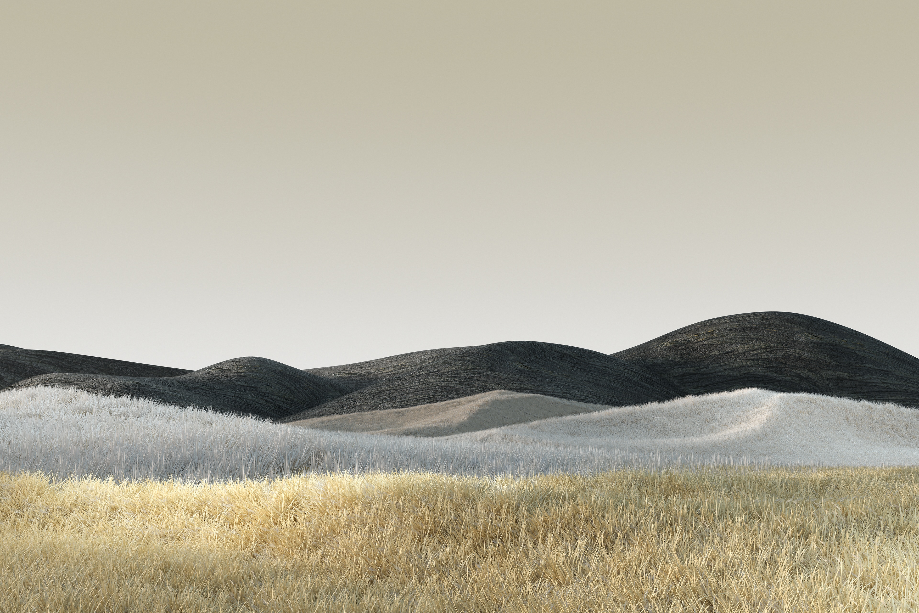 Windows 10 4K landscape with hills and grass HD Wallpaper