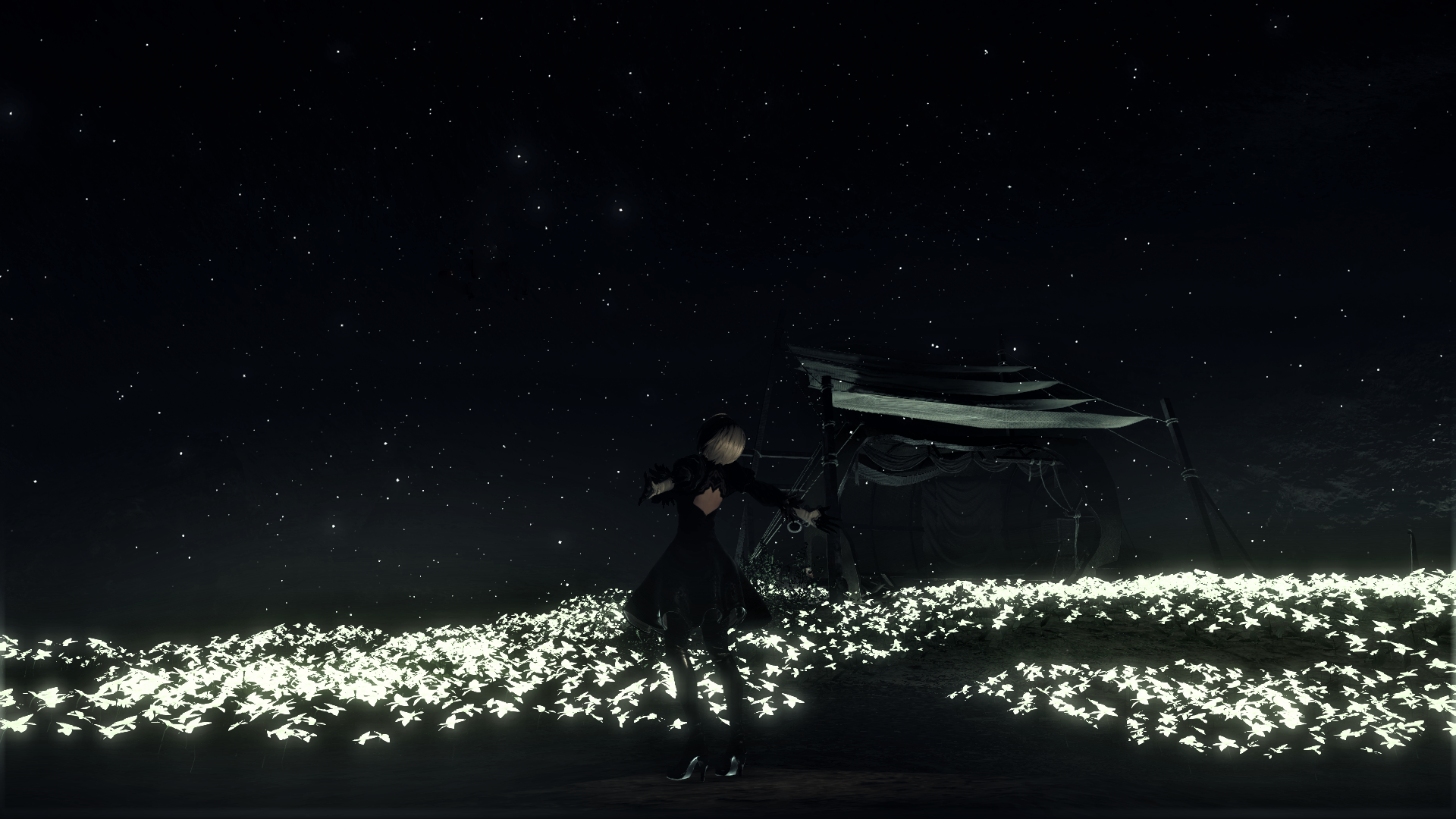 2B in a field of glowing flowers under a starry sky HD Wallpaper
