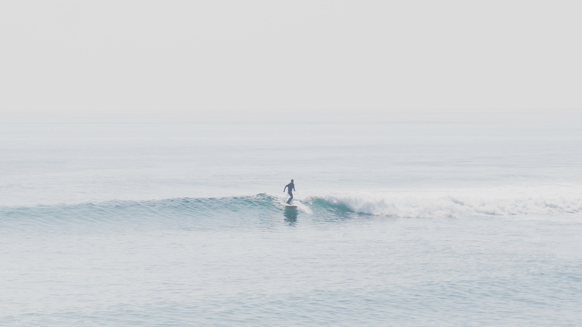 Surfer riding a wave in the ocean HD Wallpaper