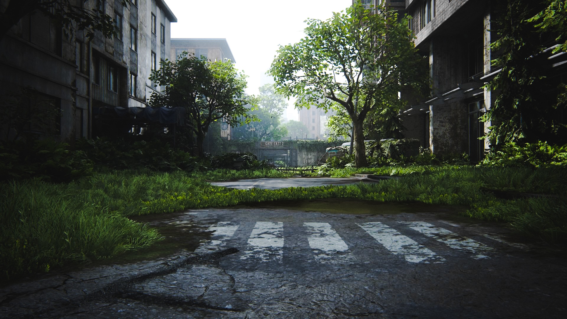 The Last of Us 2 overgrown city street HD Wallpaper