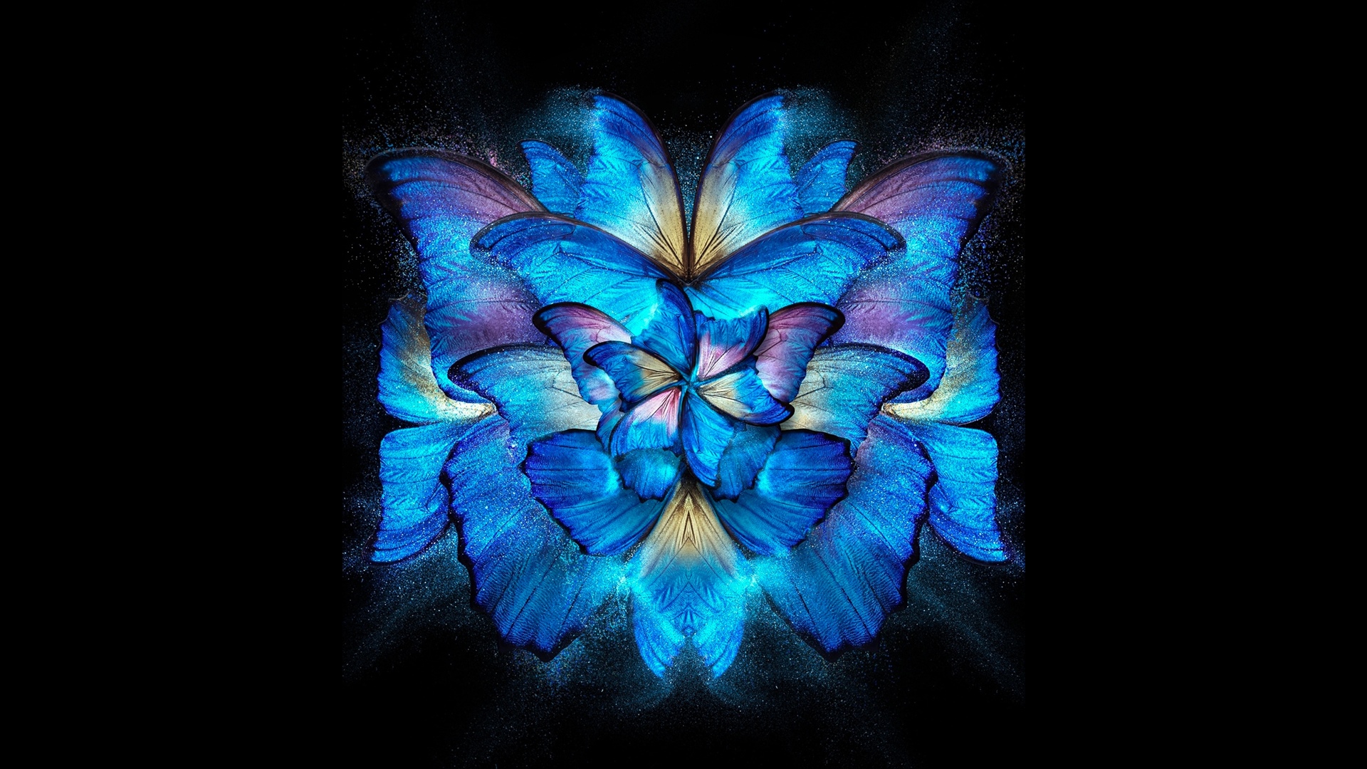 Blue butterflies arranged in a floral pattern HD Wallpaper
