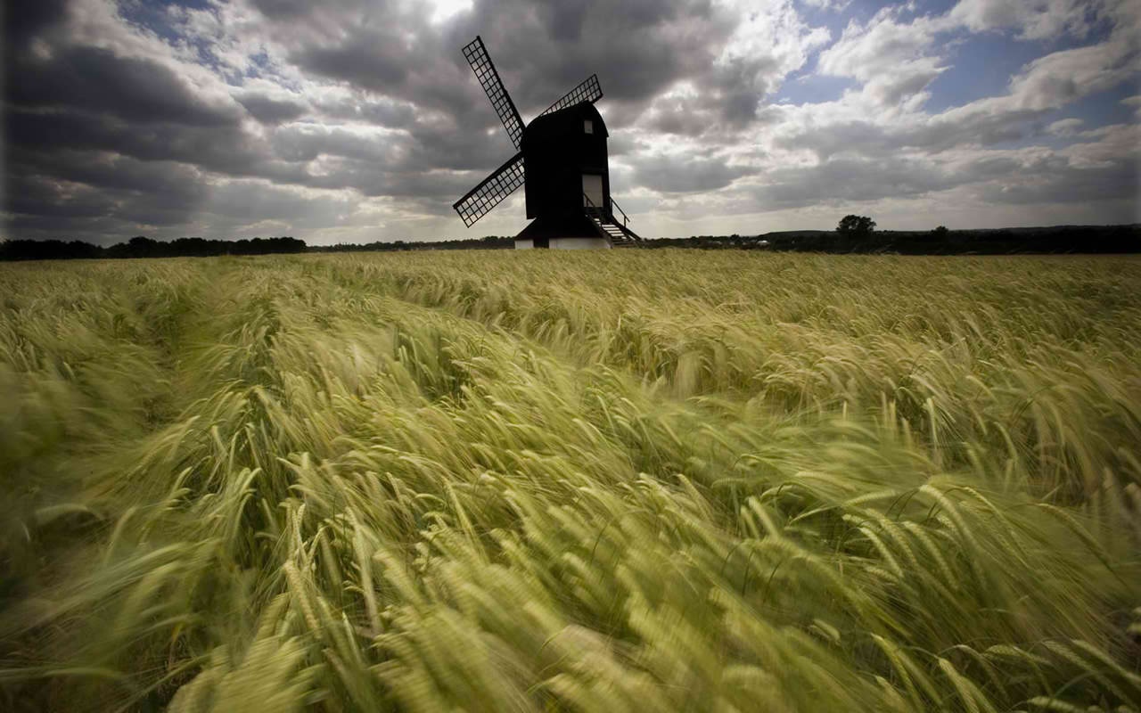 Windmill in a field of wheat under cloudy sky HD Wallpaper