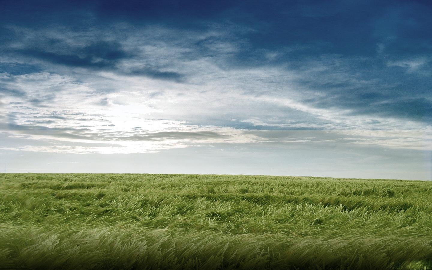 Green field under a cloudy blue sky HD Wallpaper