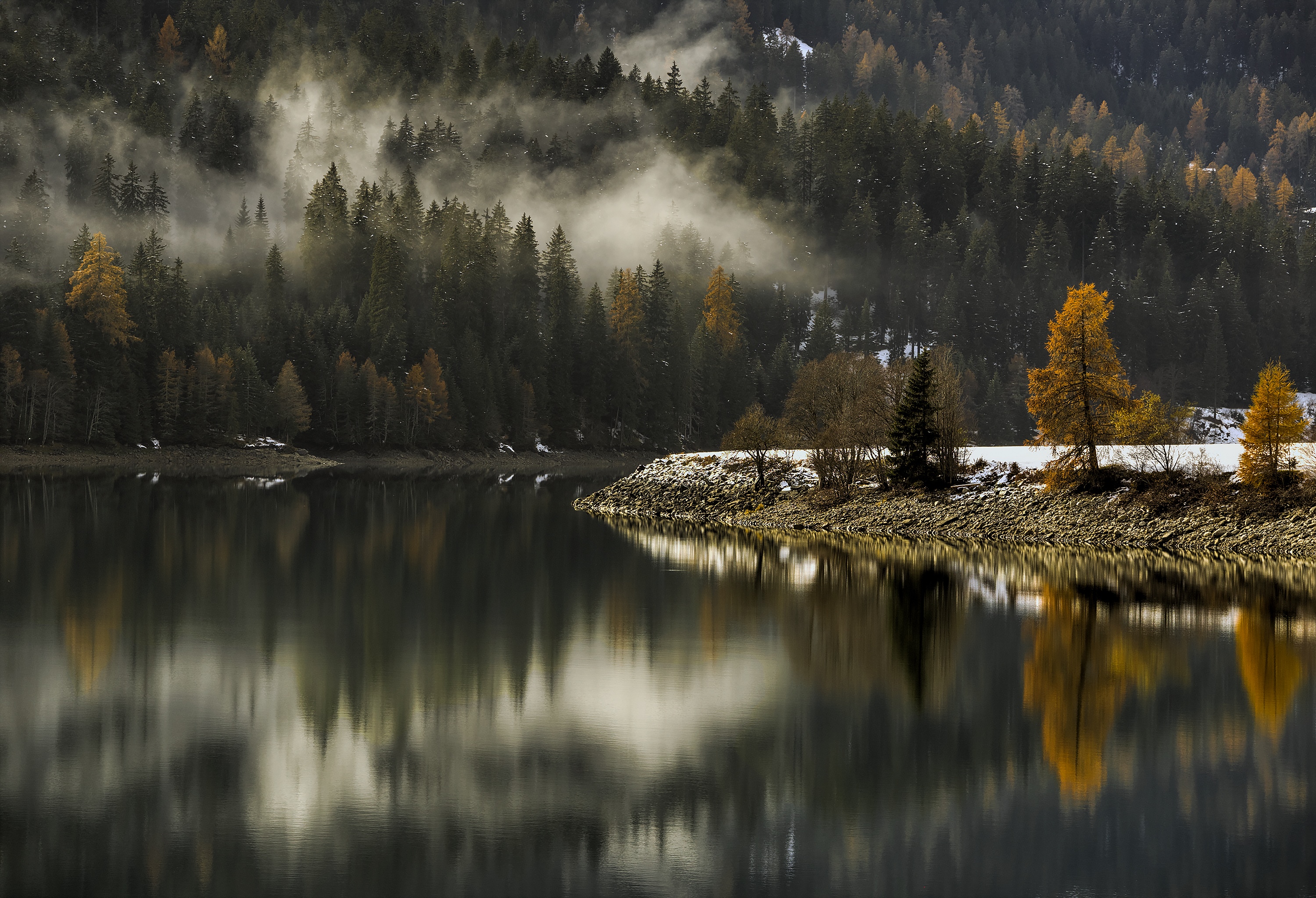 Misty forest reflected in a lake during fall HD Wallpaper