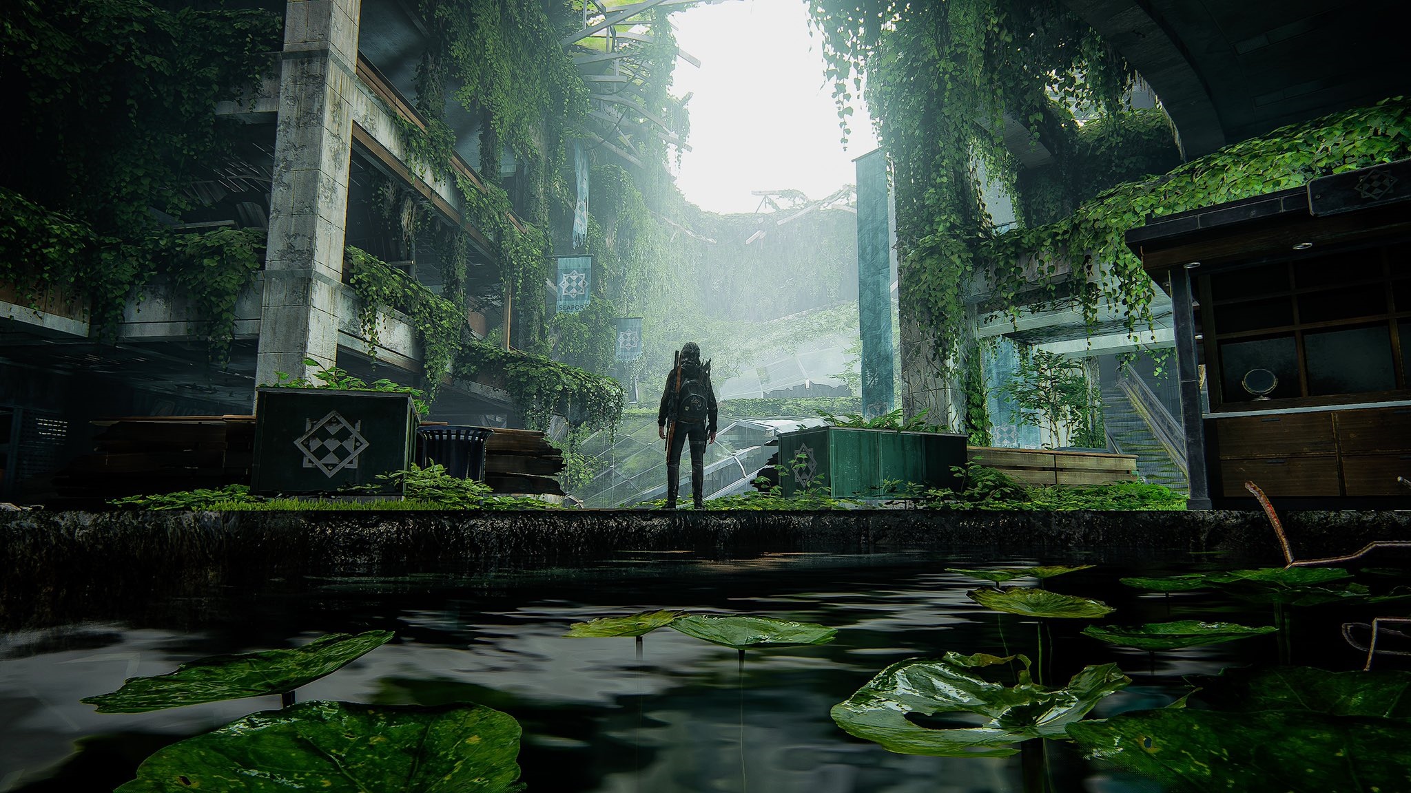 The Last of Us 2: Overgrown City Ruins HD Wallpaper